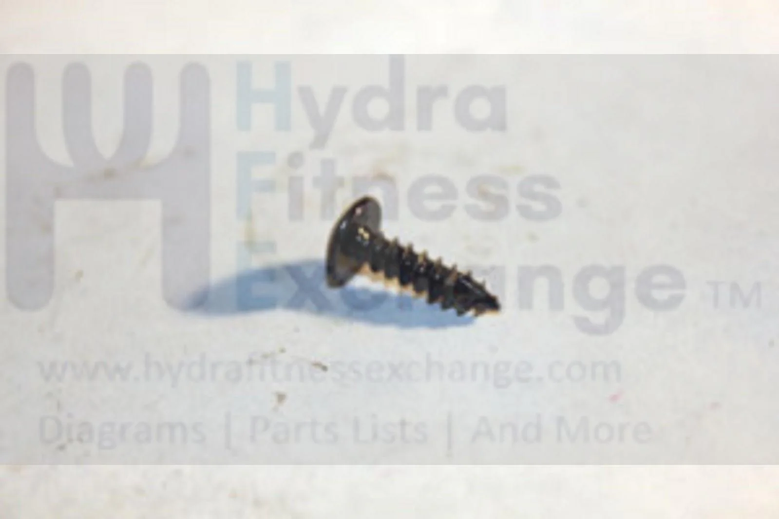 Horizon Vision Matrix Fitness Treadmill Button Head Tapped Screw 4X15L 028633-A - Image 2