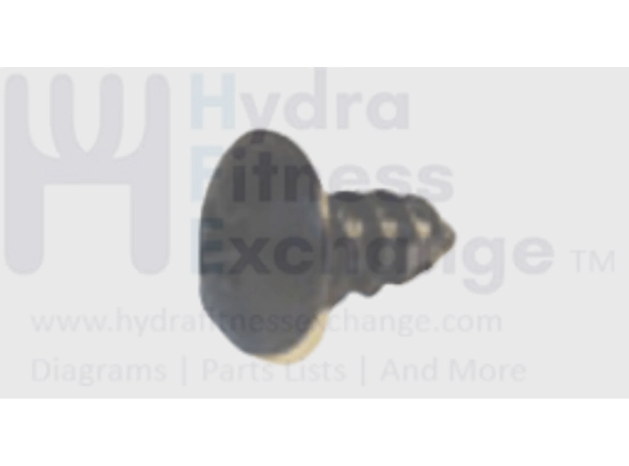 Horizon Vision Matrix Fitness Treadmill Button Head Tapped Screw 5X12L 004627-AB