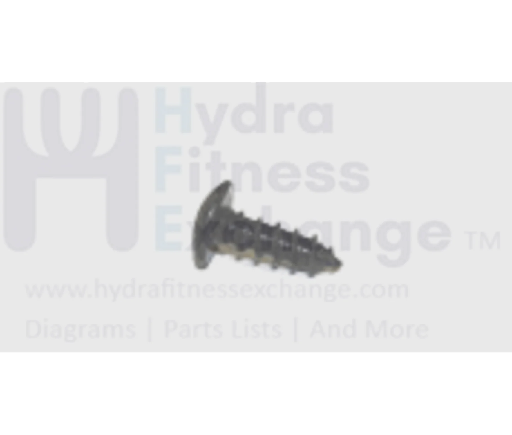 Horizon Vision Tempo Fitness Treadmill Button Head Tapped Screw 5X12L 004627-00