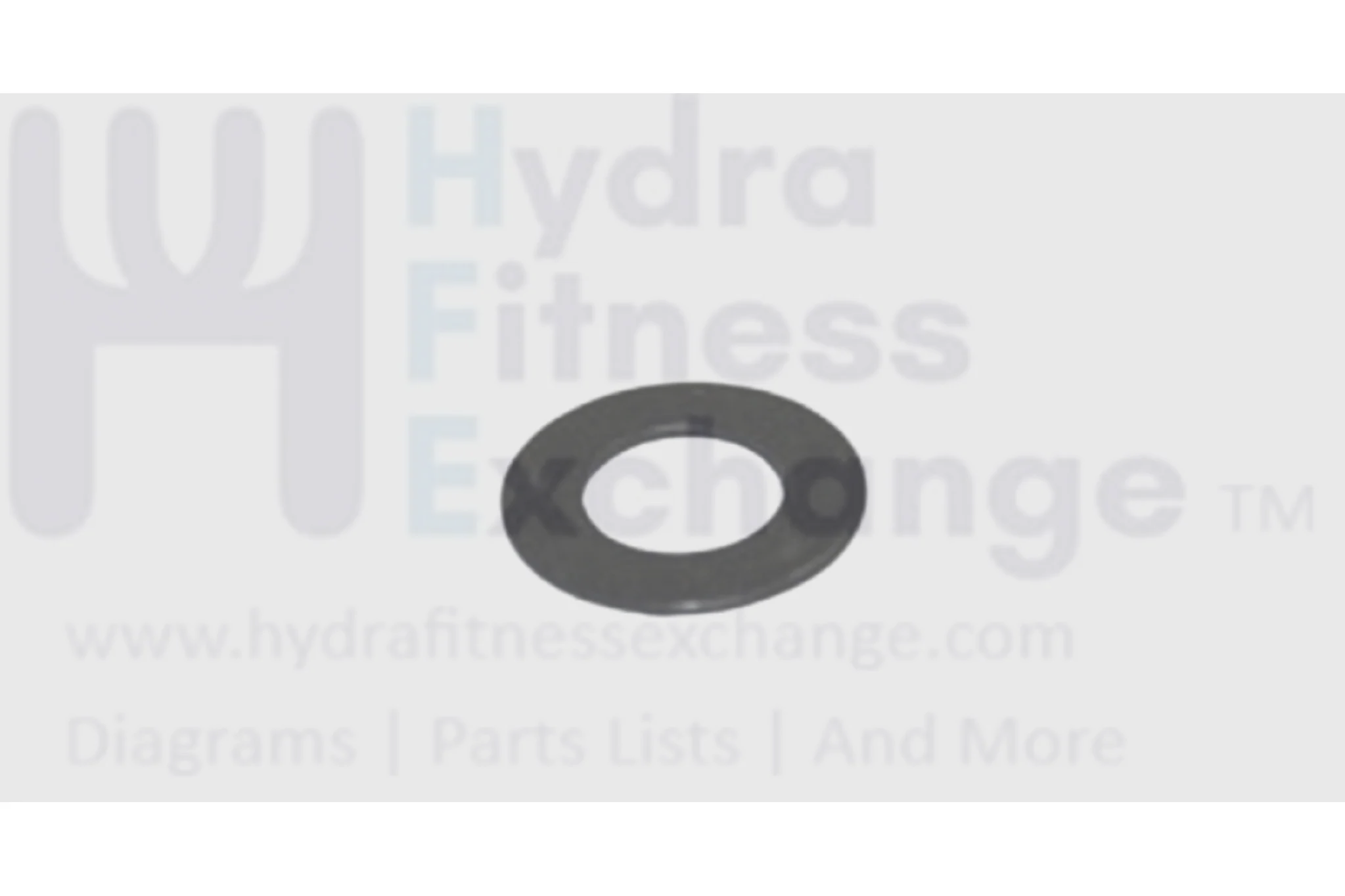 Horizon Vision Tempo Merit Fitness Treadmill Flat Washer 10.2X20X1.0T 005125-00