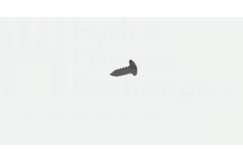 Horizon Vision Tempo Smooth Fitness Treadmill Self Tapping Screw 4X12L 004620-00