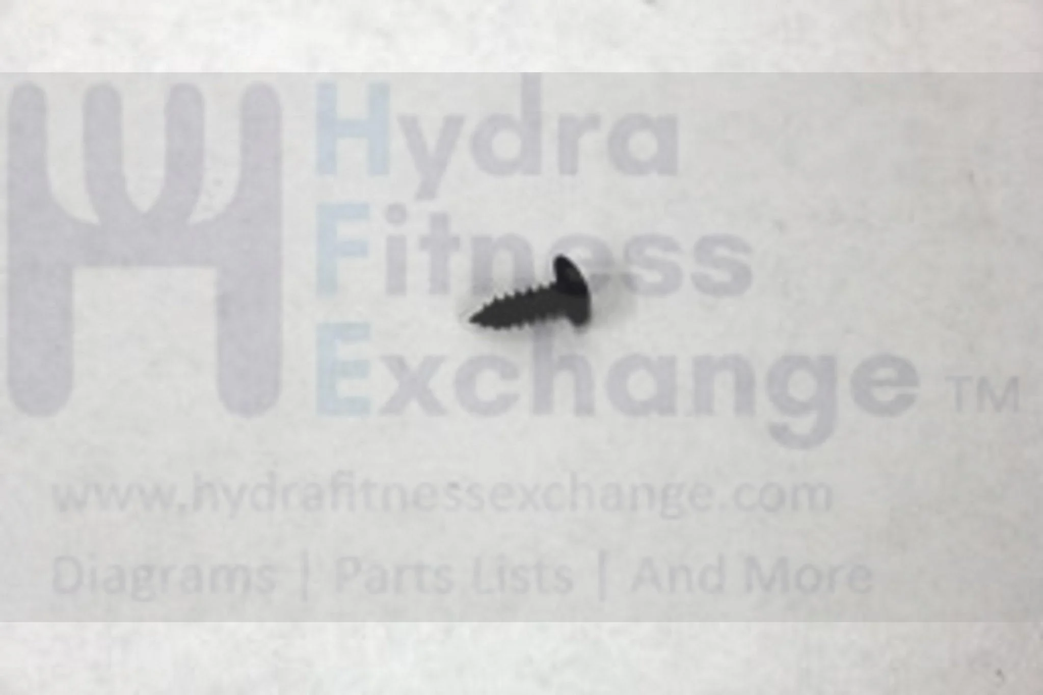 Horizon Vision Tempo Smooth Fitness Treadmill Self Tapping Screw 4X12L 004620-00 - Image 2