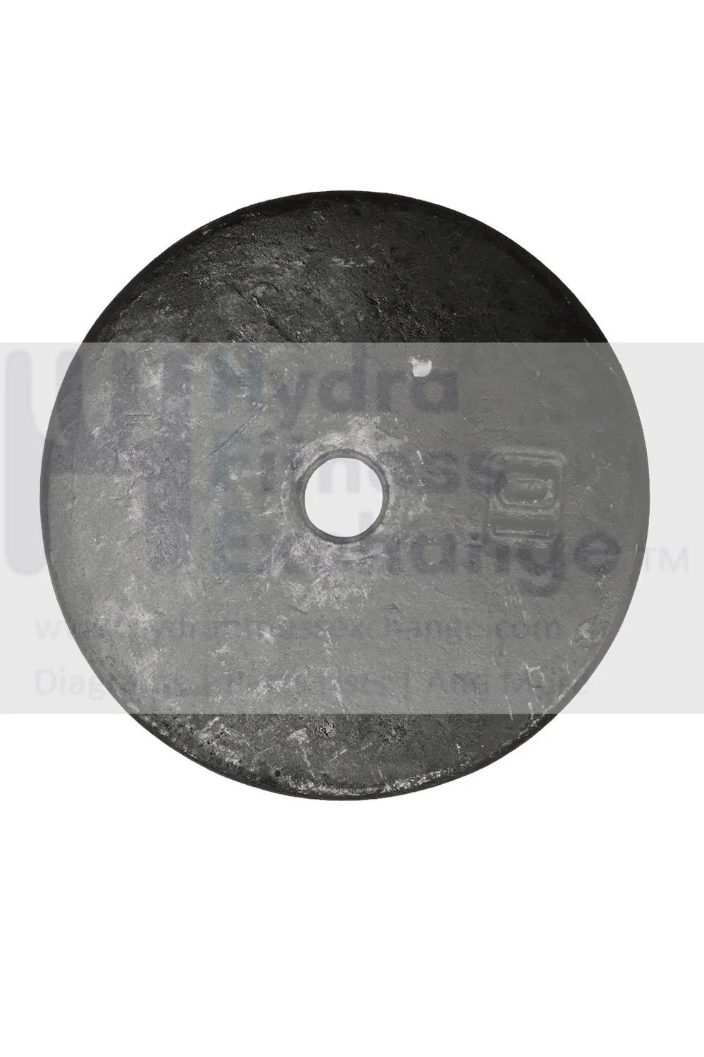 Hydra 10LB Standard Plate Weight Freeweights & Accessories