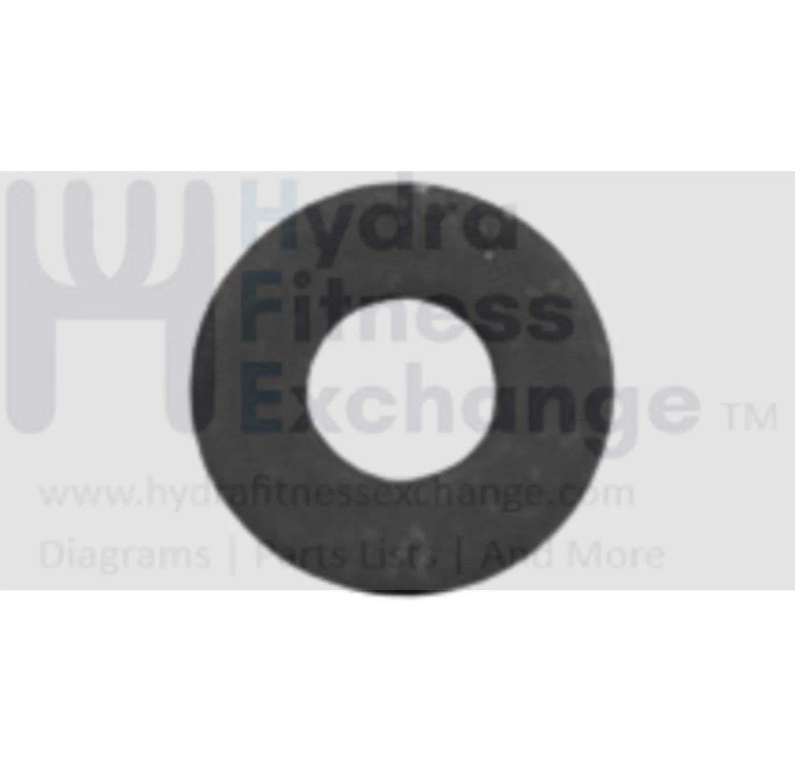Matrix Fitness Strength System Black Flat Washer 1/4" 1000310313