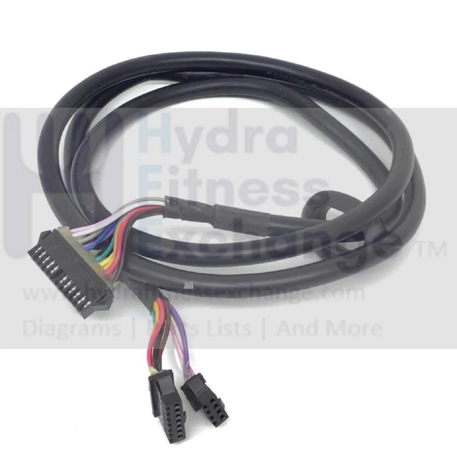 Hydra Fitness Exchange Misc Main Wire Harness