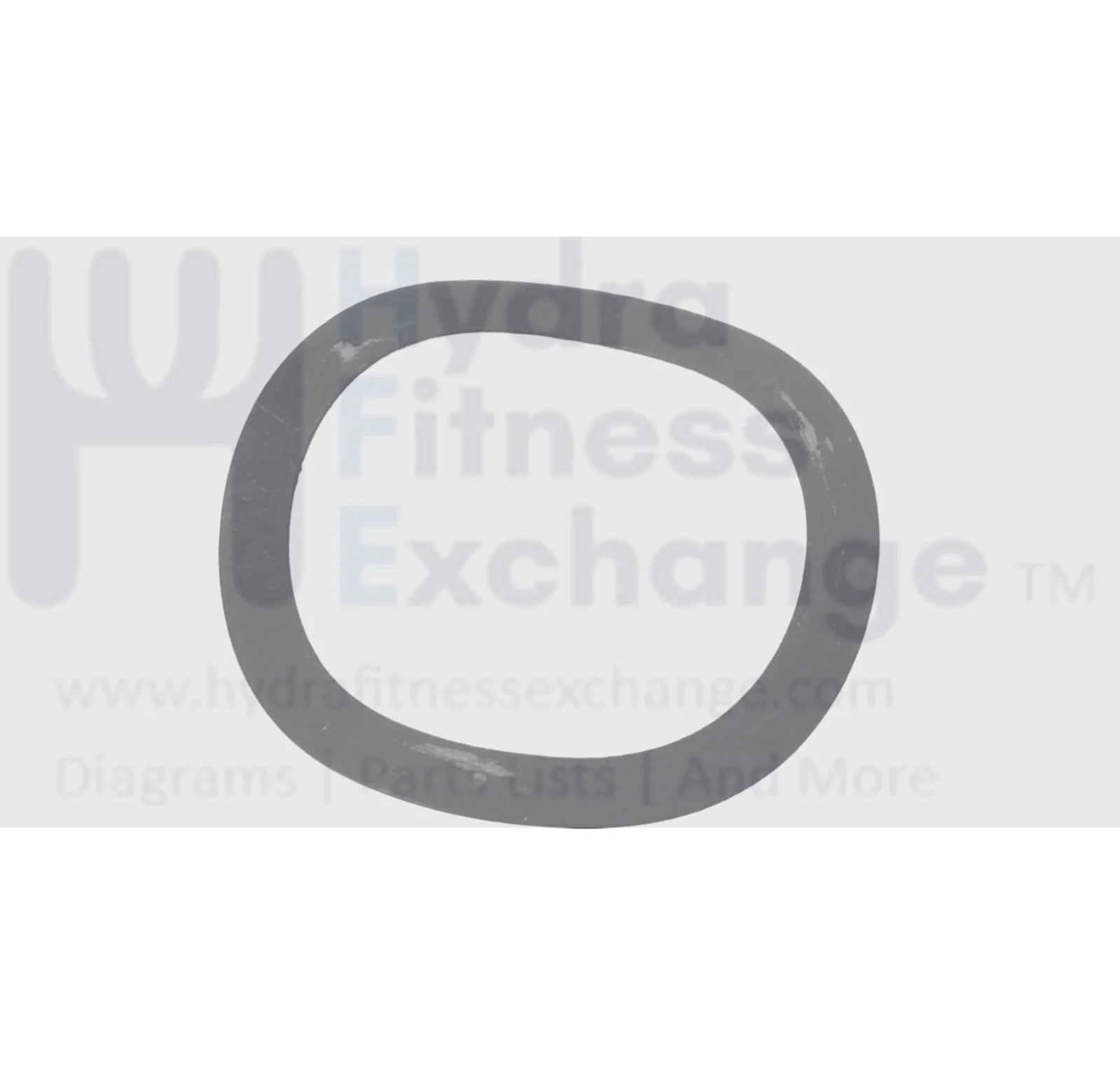 Hydra Fitness Exchange NordicTrack Epic Elliptical Wavy Washer GZ1049