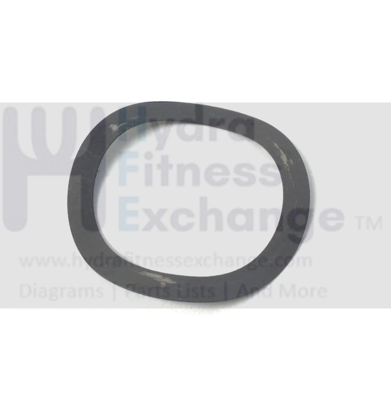 Hydra Fitness Exchange NordicTrack Epic Elliptical Wavy Washer GZ1049 - Image 2