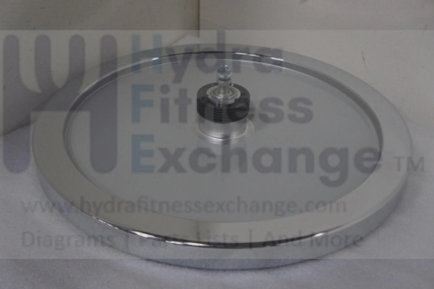 Horizon Fitness S3+ - Fc052 - 2016 Stationary Bikes Flywheel Assembly 1000392574