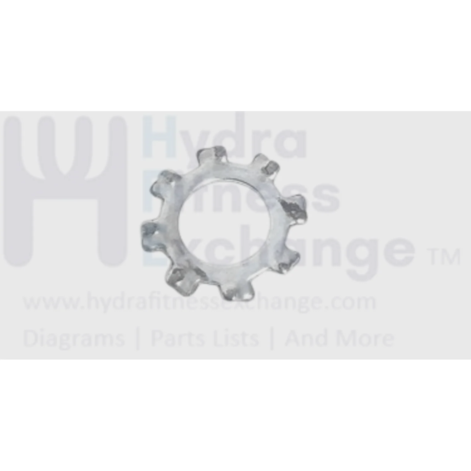 Icon Treadmill Cardio Star Washer 1/4" 014064