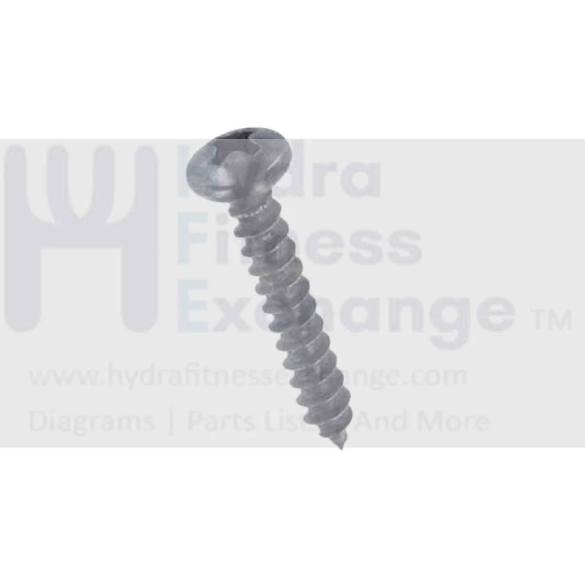 Icon Gold's Gym Proform Weslo Reebok Epic Health Rider Bodyfit Good Family Elliptical Phillip Hex Socket Screw #8 X 1" 154848