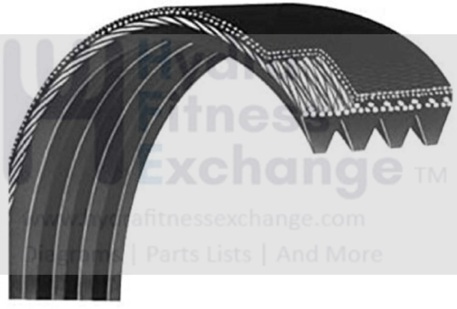 Keys HealthTrainer Ironman Treadmill Motor Drive Belt 20" 8 Ribs 508J 404-00002