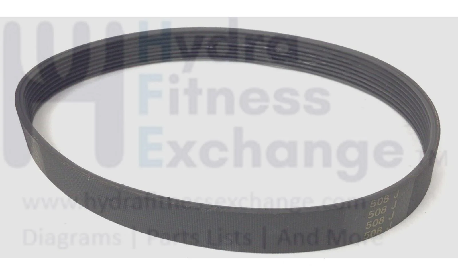 Used Keys HealthTrainer Ironman Treadmill Motor Drive Belt 20" 8 Ribs 508J 404-00002 - Image 2