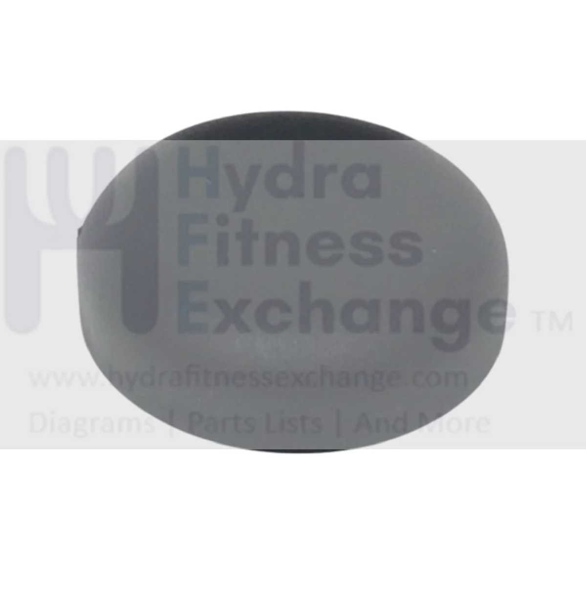 Life Fitness CTSX30-0000-01 Elliptical Wiper Rocker Cap