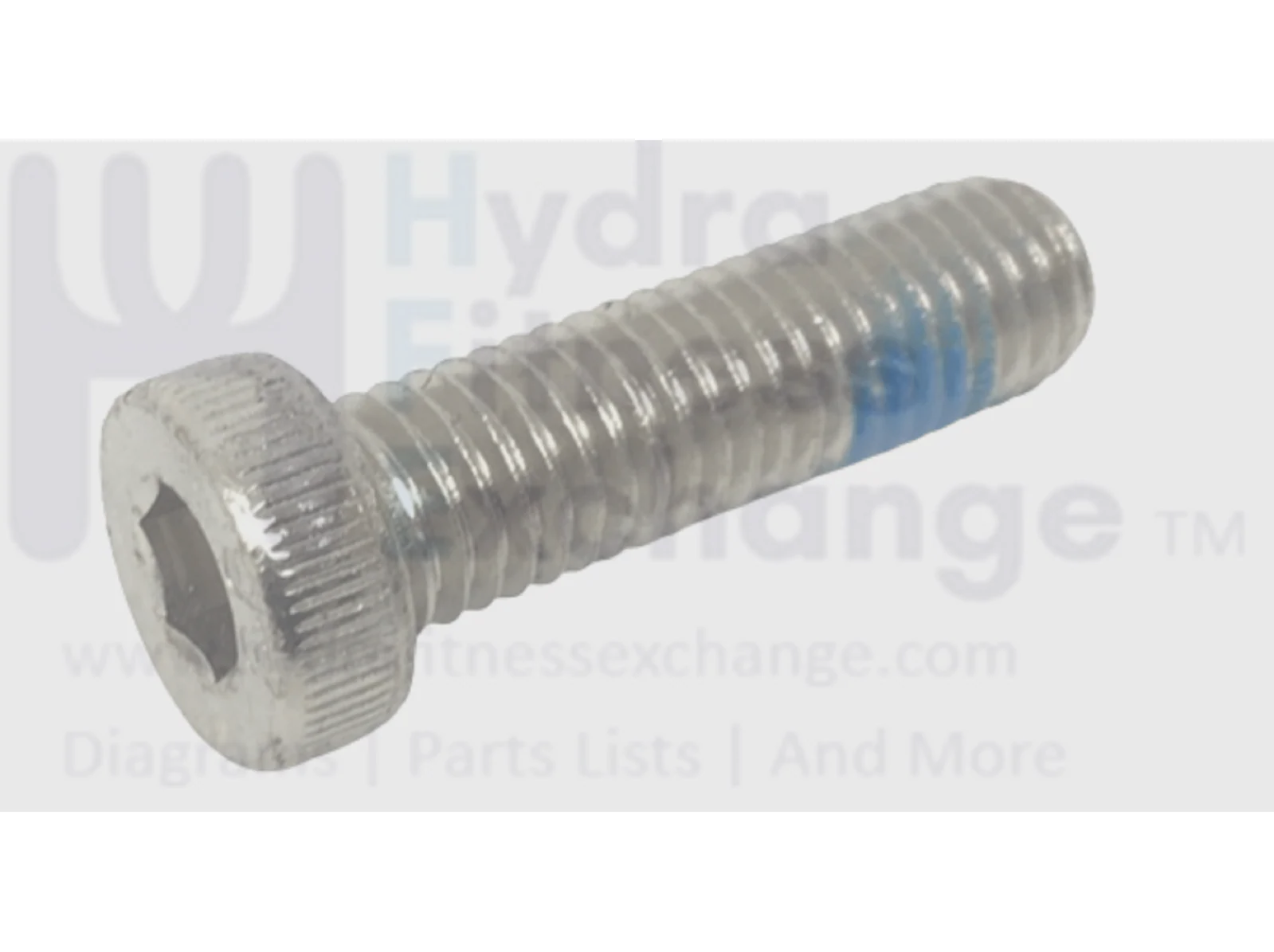 Life Fitness Cybex Hammer Strength System Round Hex Socket Screw 35mm 3236204