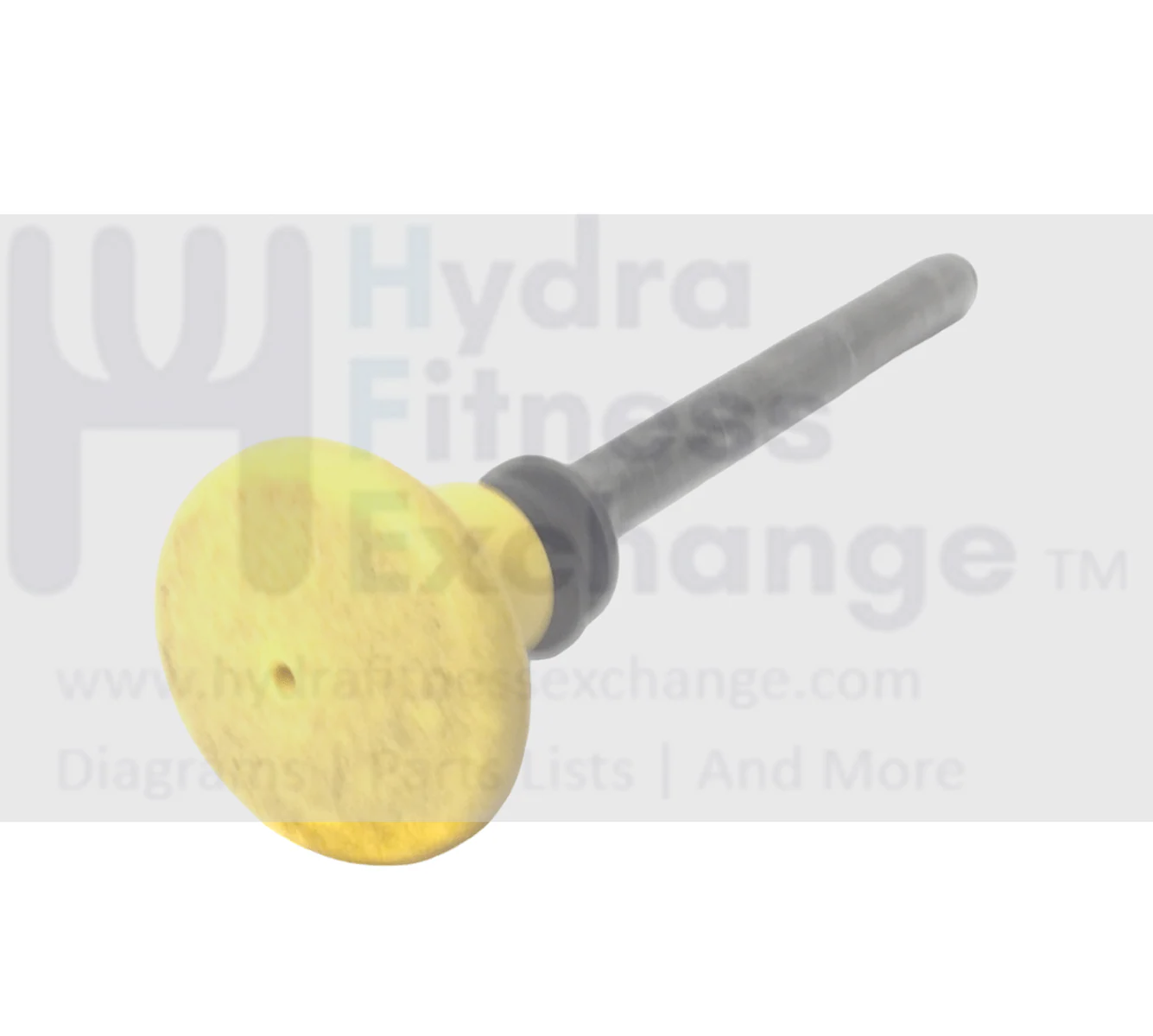 Life Fitness Cybex Strength System Weight Selector Pin BH030207