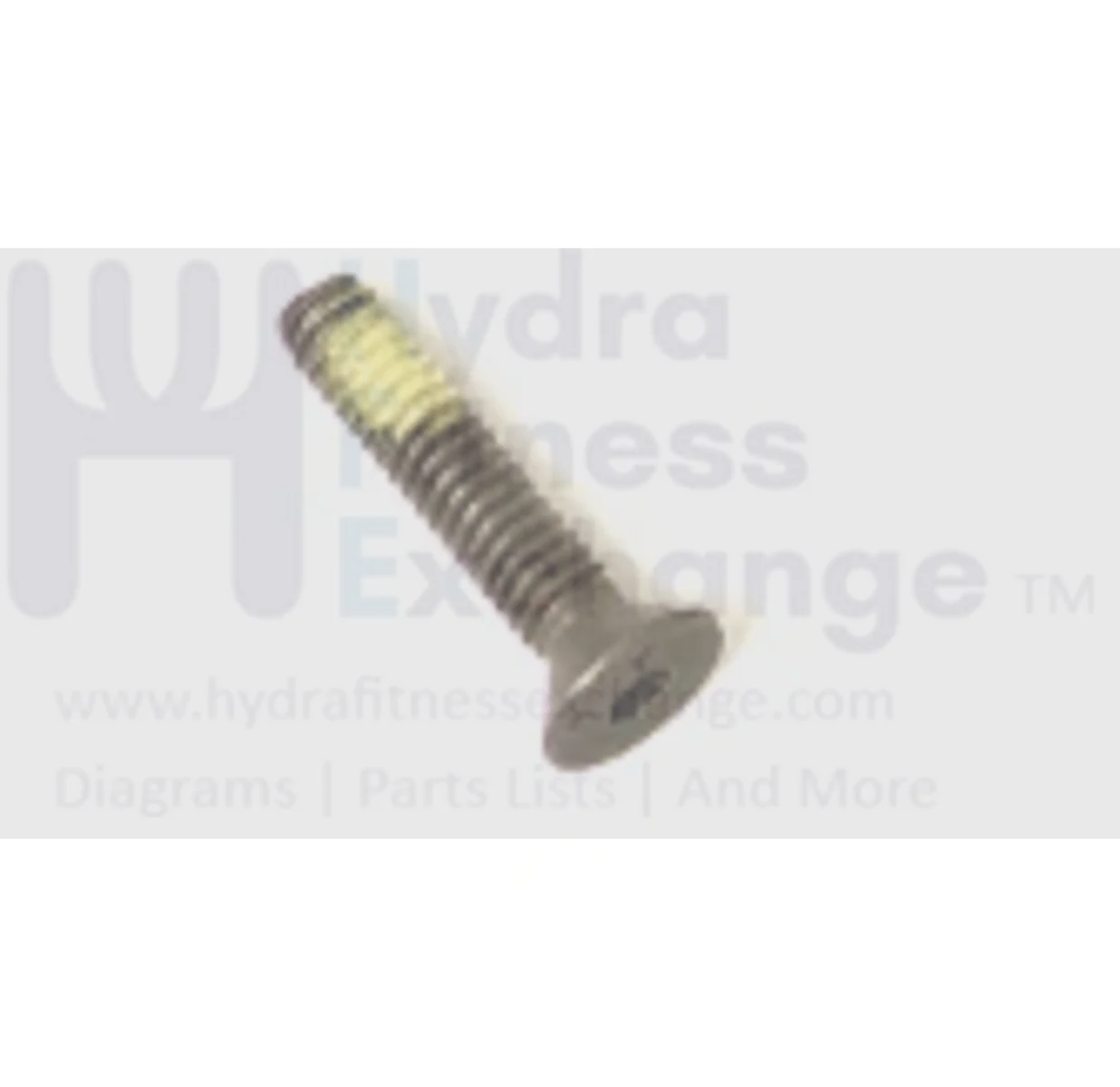 Life Fitness Cybex Treadmill Hardware Deck Screws 1.25" 0017-00101-1775