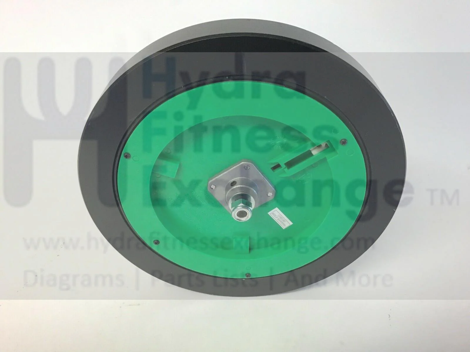 Life Fitness Elliptical Magnetic Brake Assembly REX21BJ