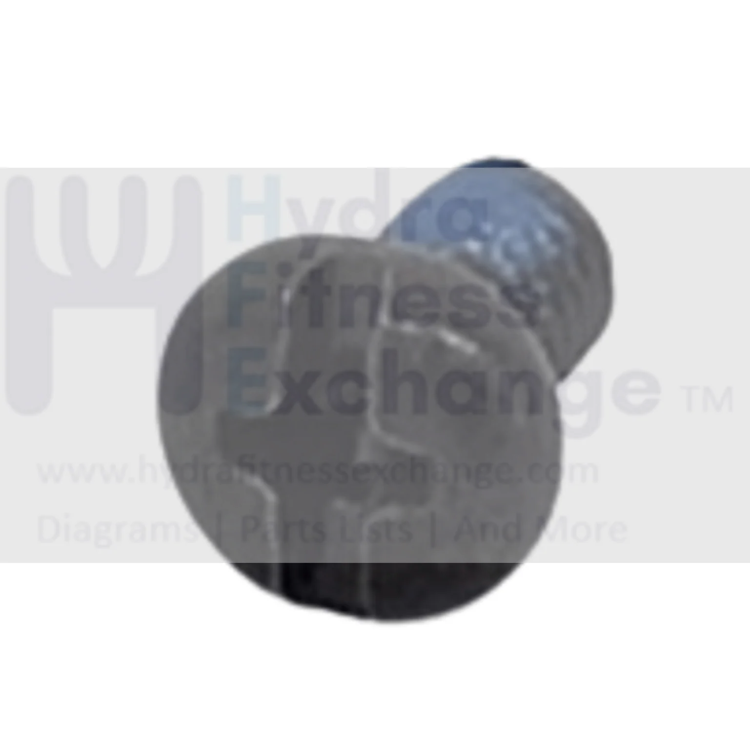 Life Fitness Elliptical Pan Screw M5 - 0.8 x 8 REX3JNZ