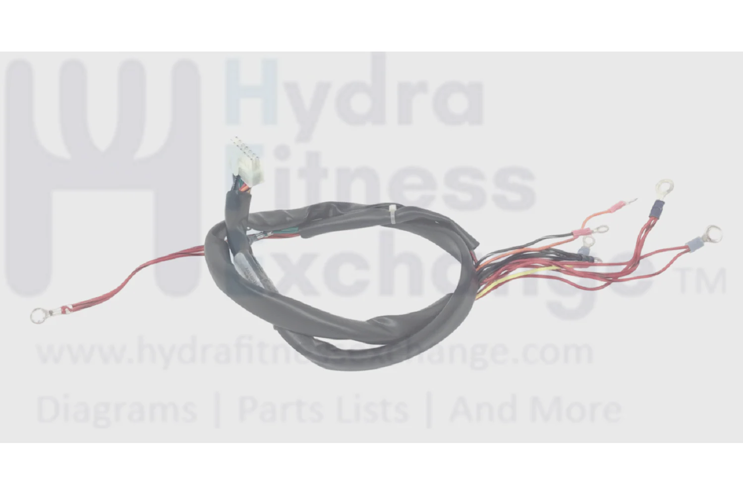 Life Fitness Elliptical Power Cable Assembly AK61-00131-0000