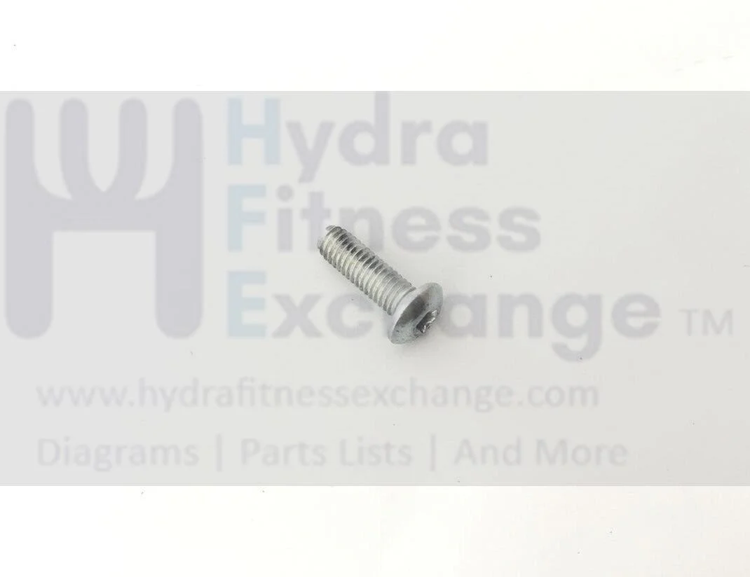 Life Fitness Elliptical RPM Speed Sensor Mounting Screw Torx 0017-00101-1794 - Image 2