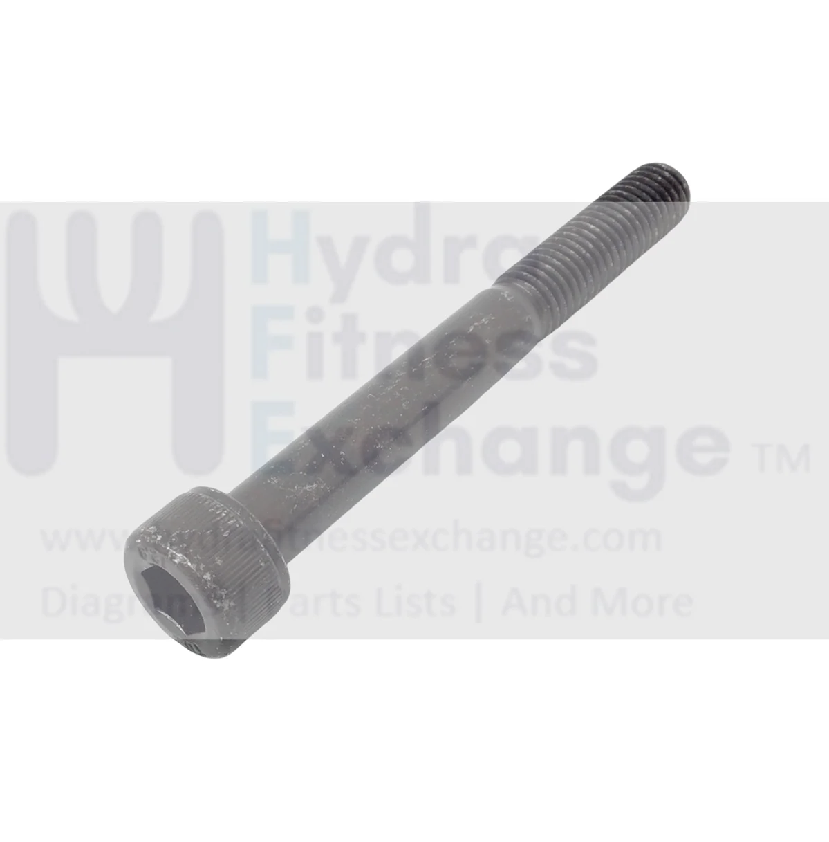 Life Fitness Elliptical SHCS Screw M10 X 1.5 X 85 1000721-0001