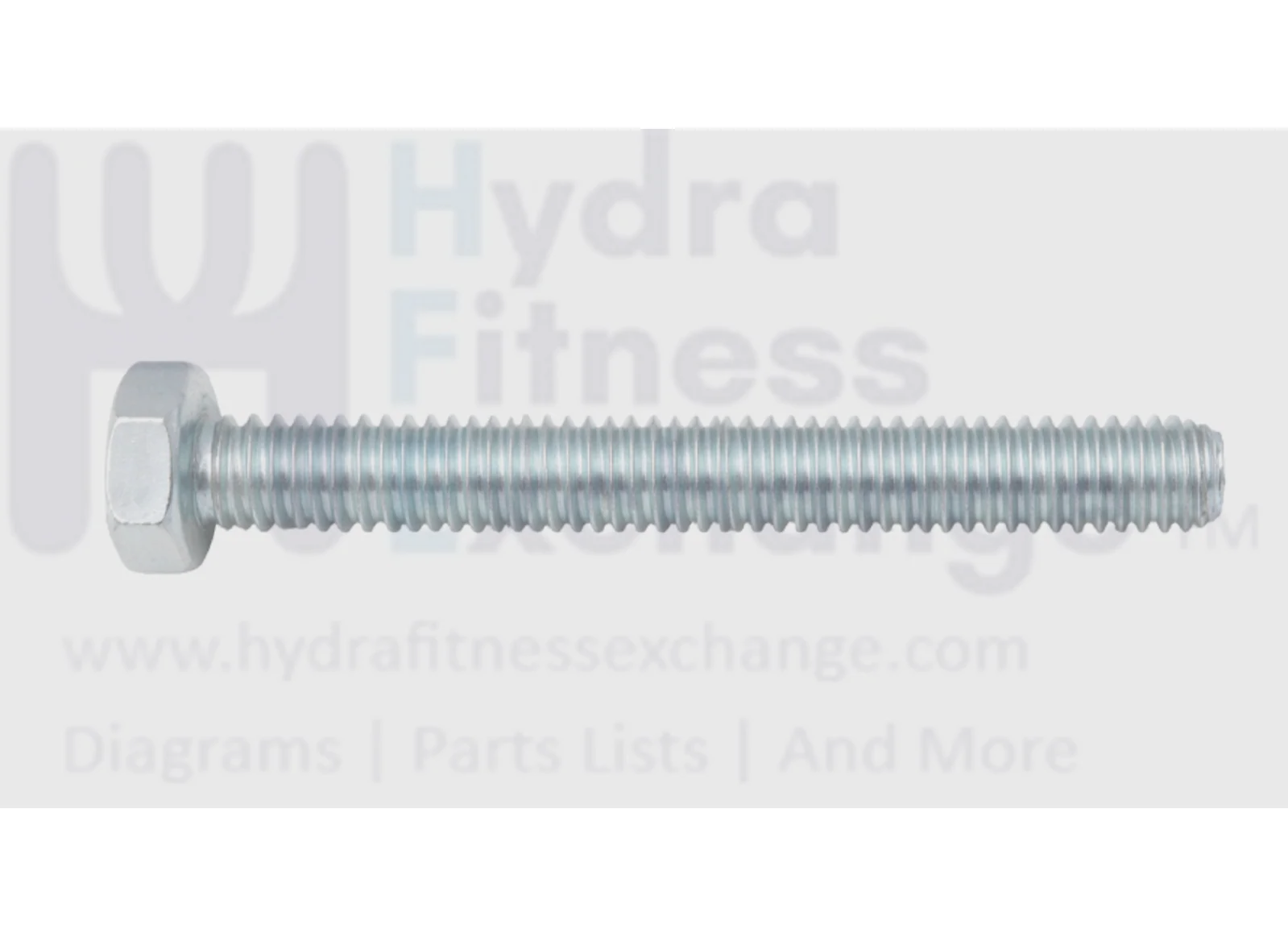 Life Fitness Hex Head Screw 1/4 x 20 Treadmill Part 3205401