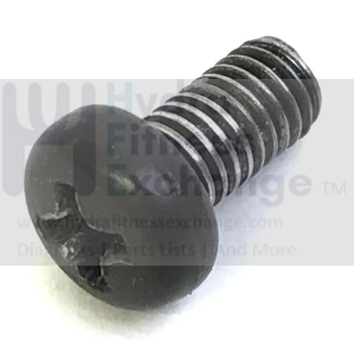 Life Fitness Parabody Home Gym Screw M5-0.8x10mm LEA3223401