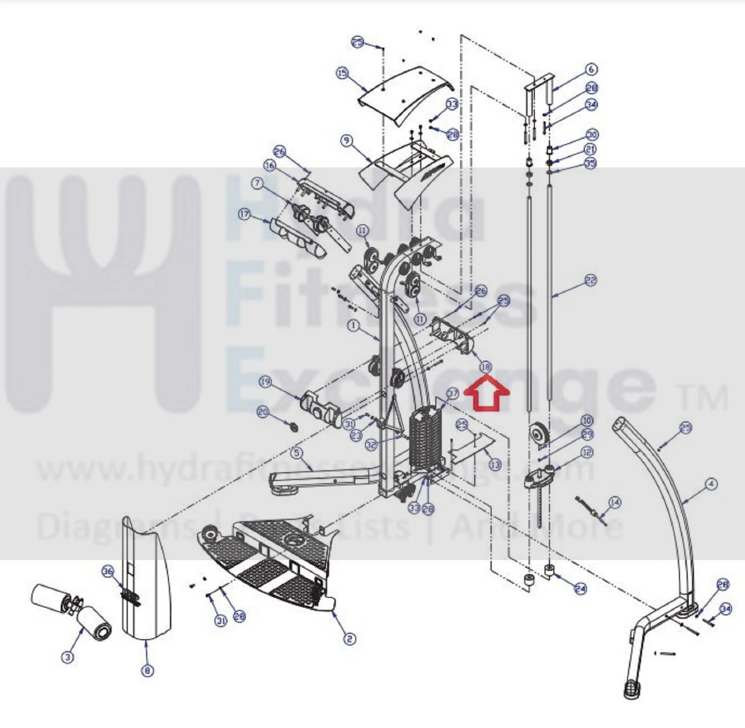 Life Fitness Parabody Home Gym Selector Pin Assembly LEA7622001 or 7936701 - Image 2