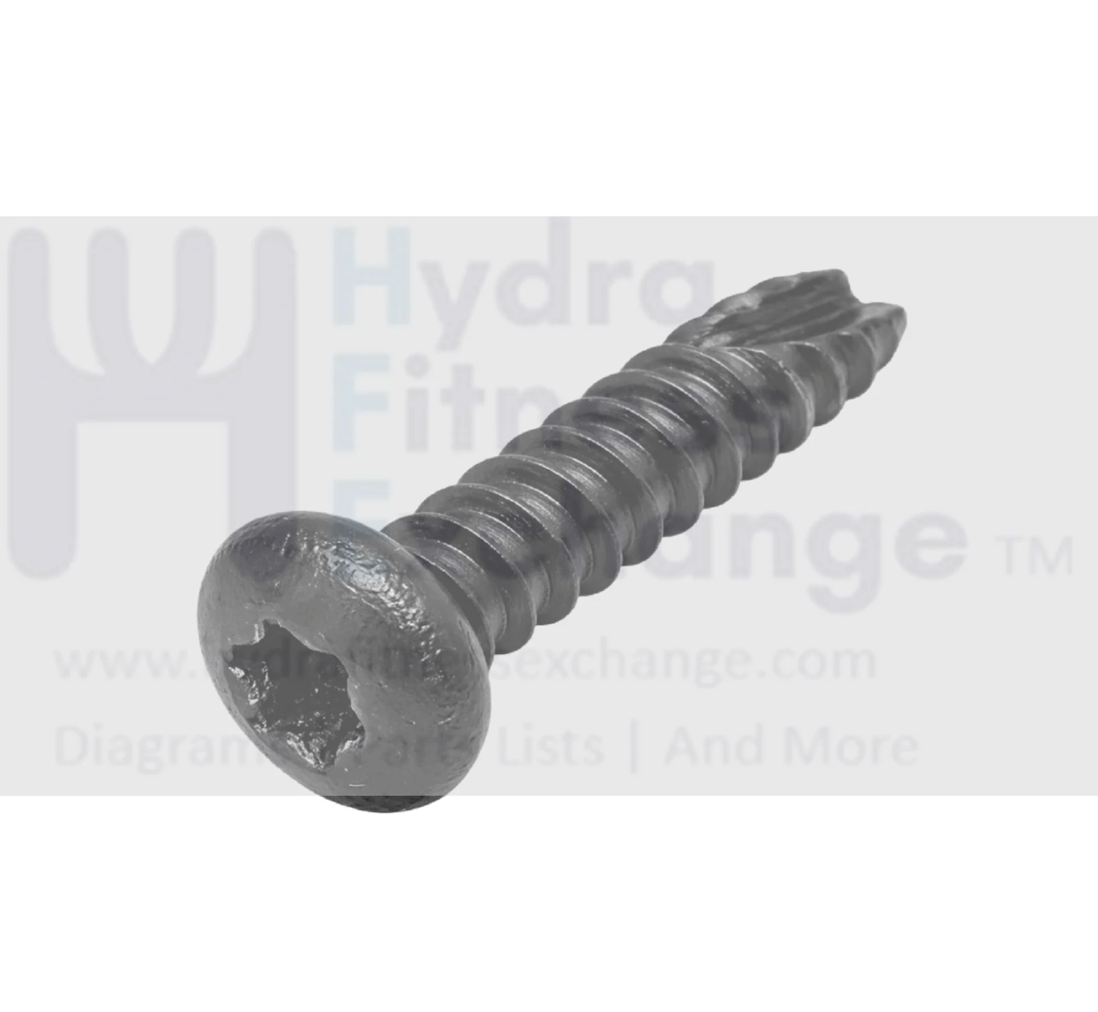 Life Fitness Parabody Torx Screw 20mm P/N 3226003 Treadmill Part