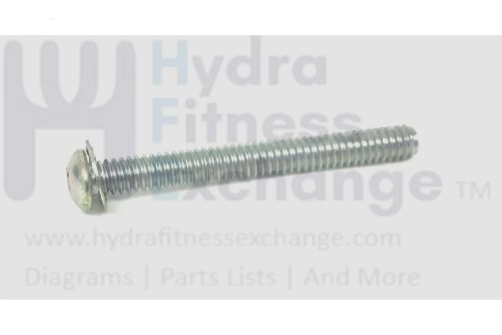 Life Fitness Recumbent Bike Button Head Seat Screw 1/9-20X2.25" 0017-00101-1743