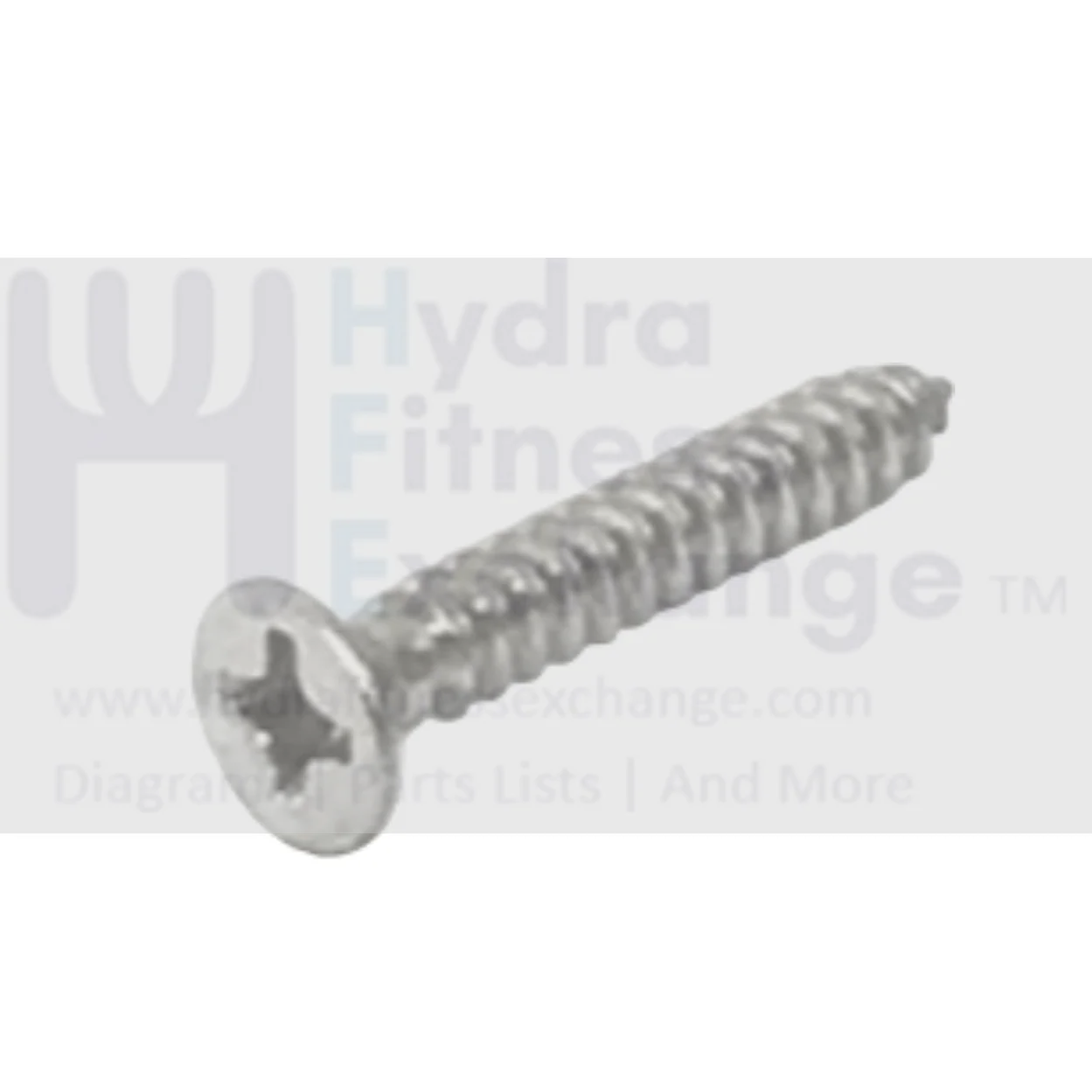 Life Fitness Rower Flat Head Tapping Counter Sunk Screw M3 x 20 0K106-10036-0000