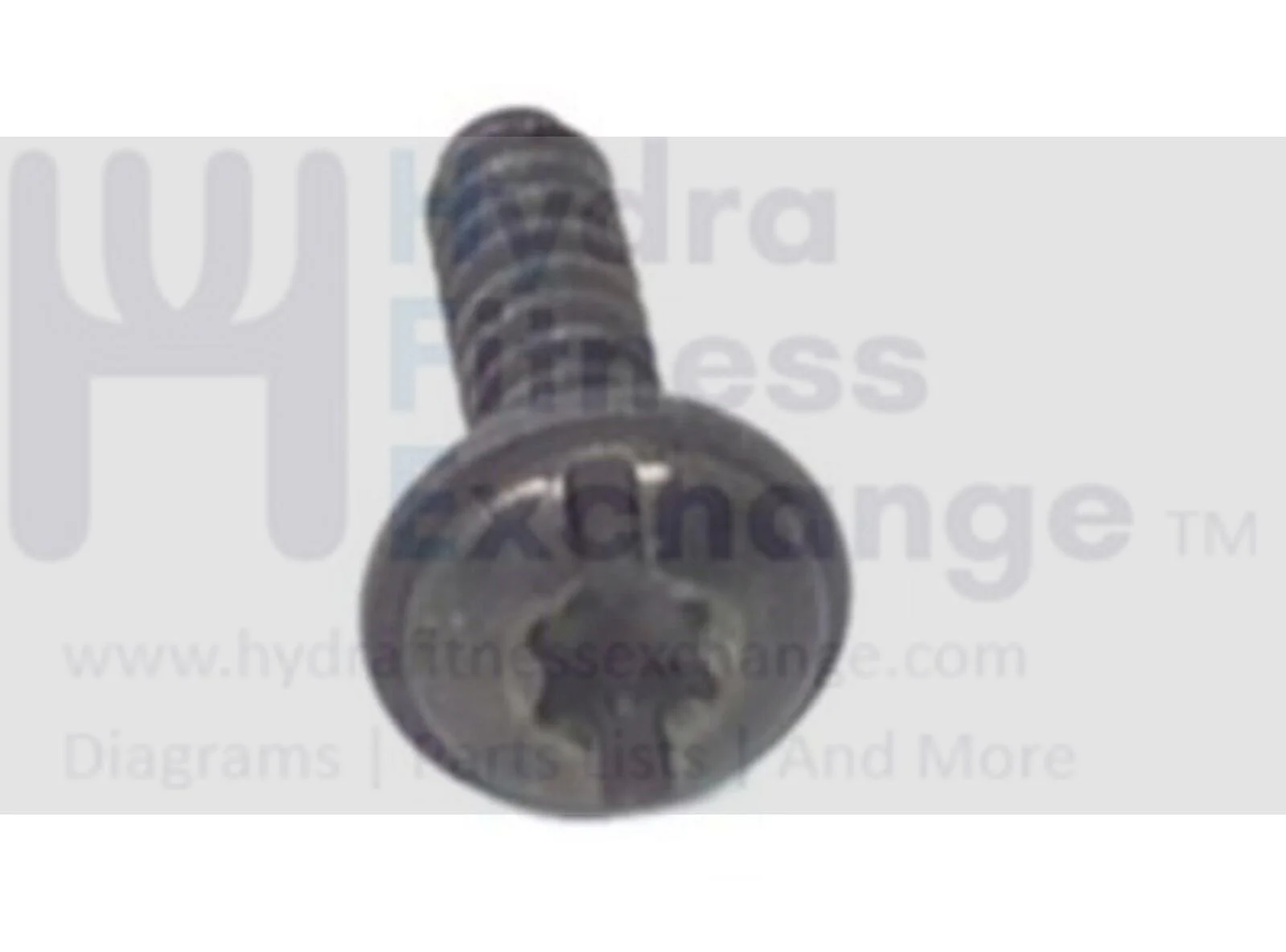 Life Fitness Stationary Bike Shroud Screw 0017-00101-1741