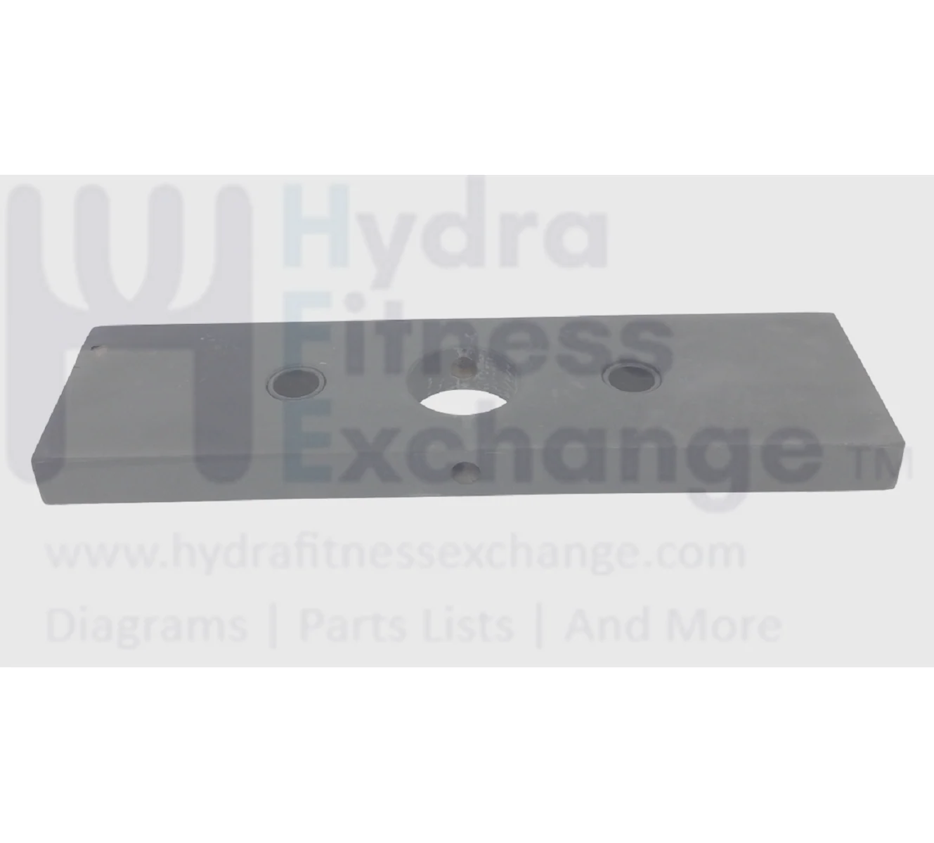 Life Fitness Strength System Weight Plate 15 Lb 7353801