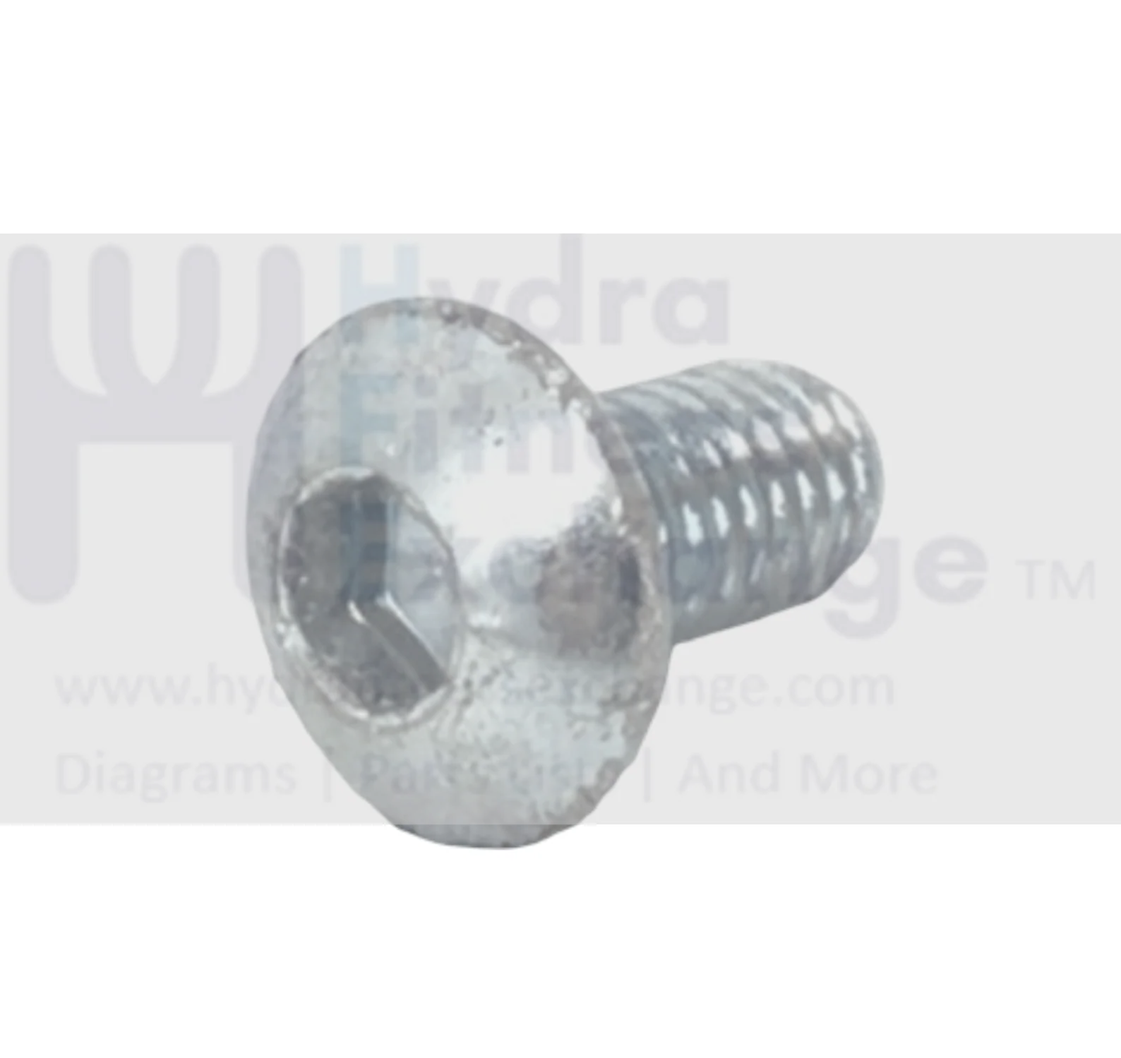 Life Fitness T3 Treadmill Dome Hex Screw M6 - 1.25 x 15mm 8325501