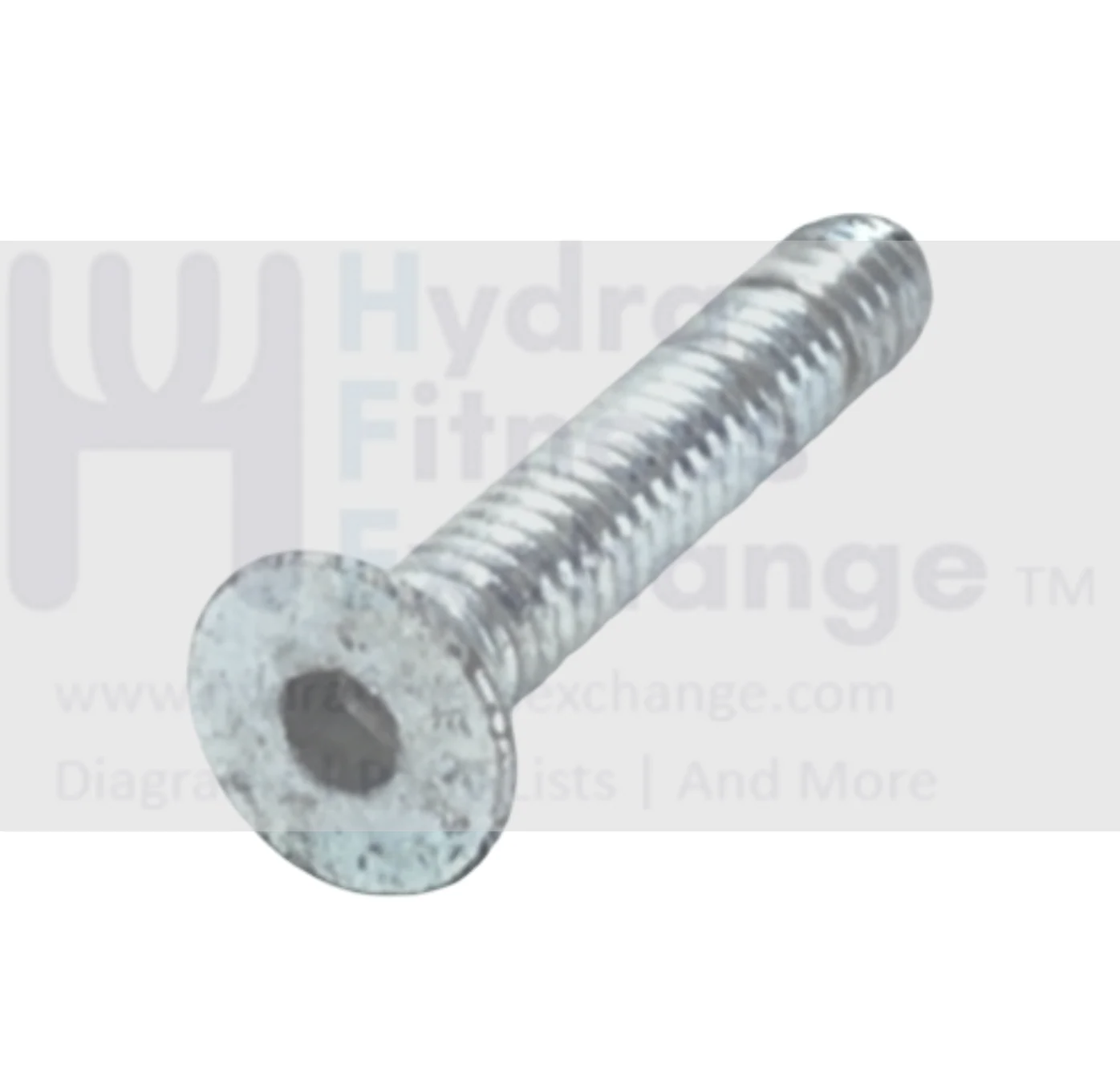 Life Fitness T3 Treadmill Flat Head Socket Cap Screw 1 - 4 x 20" - 1/4" 9154601