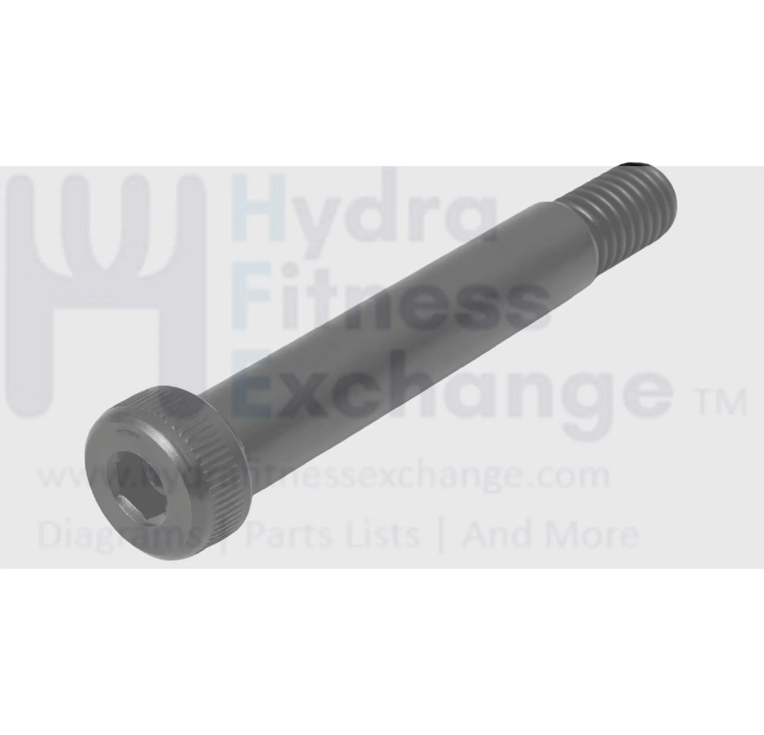 Life Fitness Treadmill Hardware Bolt 2" 0017-00101-2038