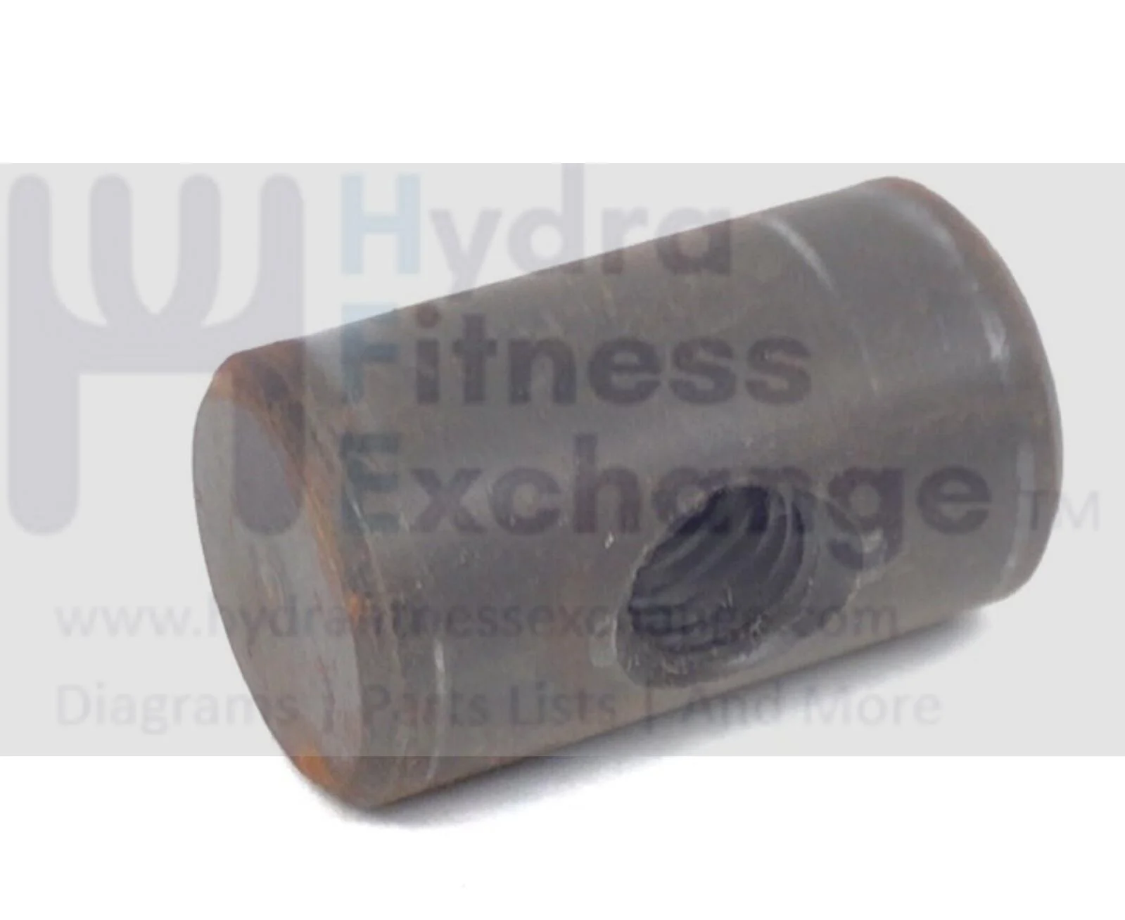 Used Life Fitness Treadmill Hardware Pivot Pin 0K58-01098-0000