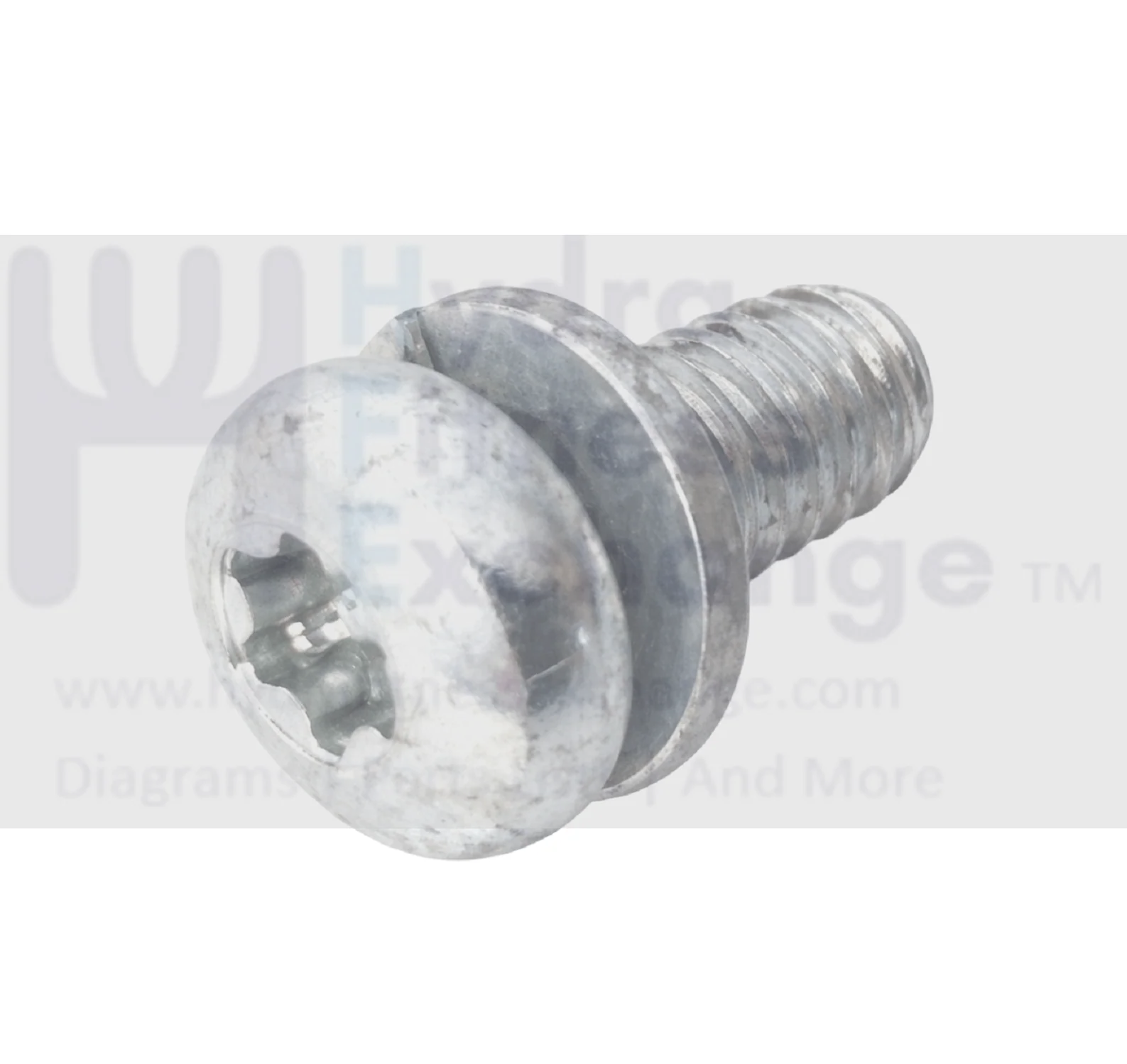 Life Fitness Treadmill Pan Head Phillip Screw M5 - 8 3208601