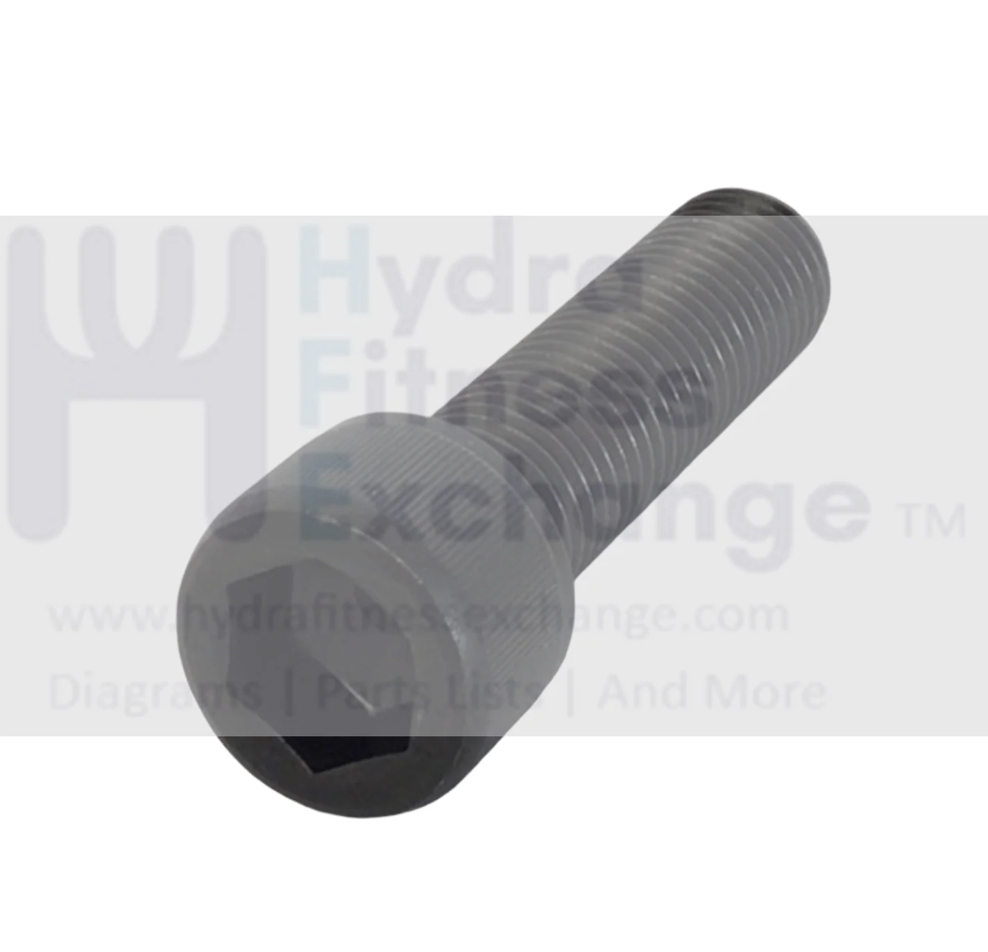 Life Fitness Treadmill Round Head Hex Socket Screw 0017-00101-1964