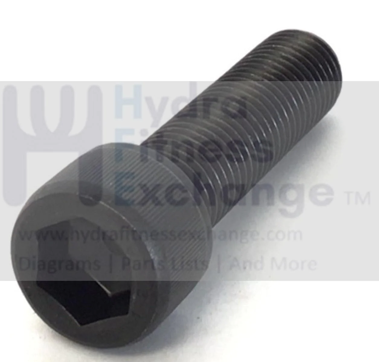 Life Fitness Treadmill Round Head Hex Socket Screw 0017-00101-1964 - Image 2