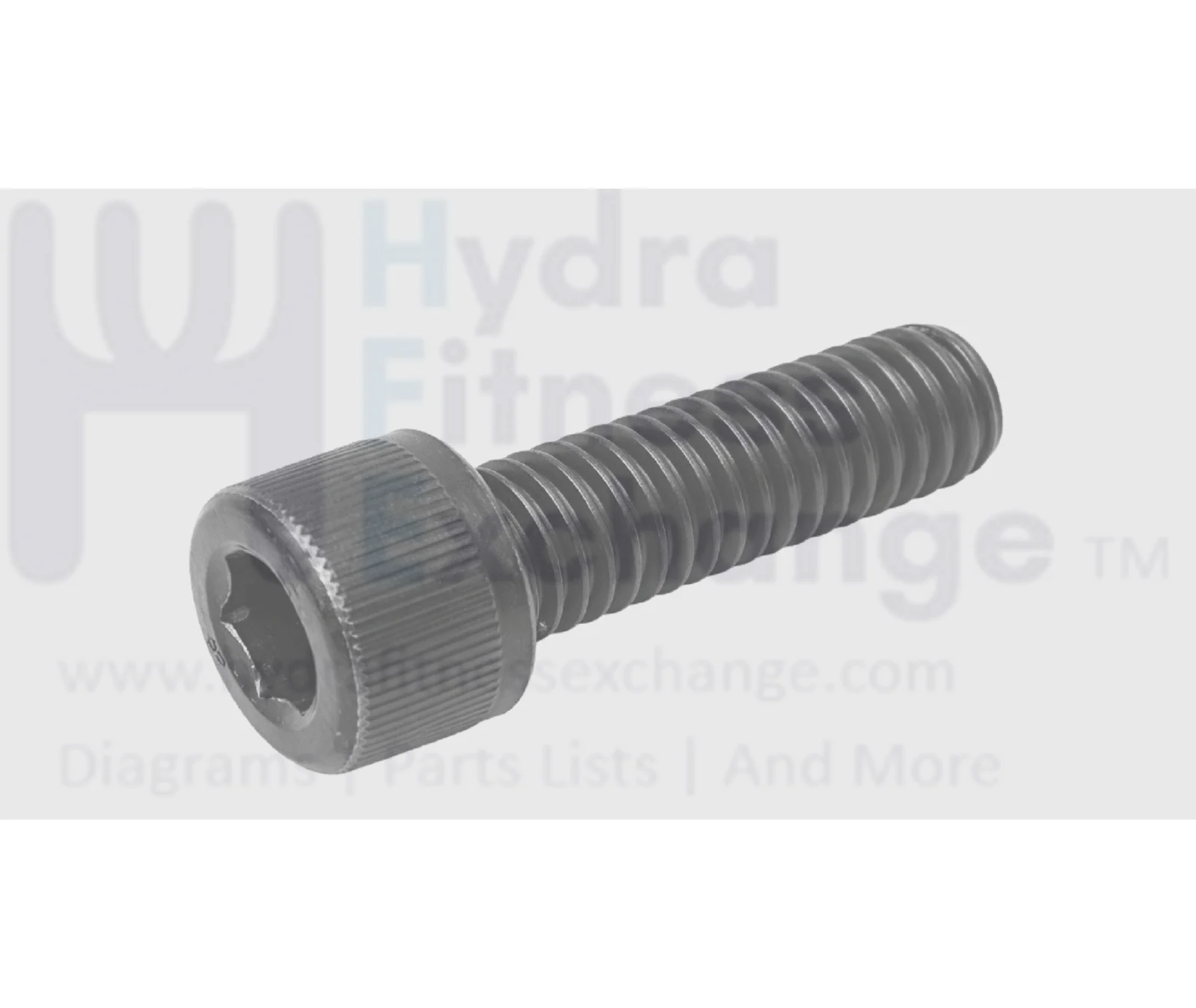 Life Fitness Treadmill Round Head Hex Socket Screw M10 - 1.5 x 25mm 3254602