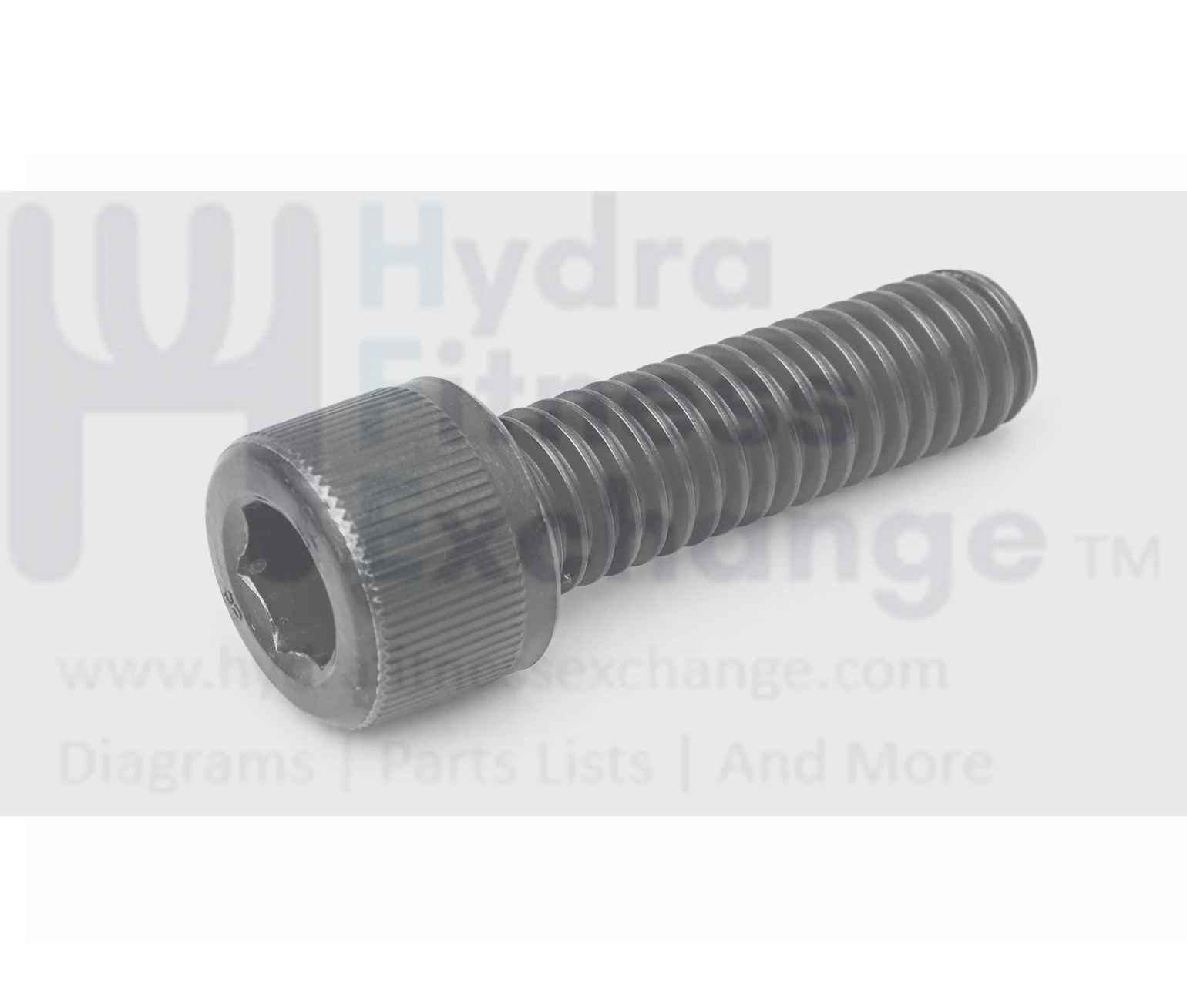 Life Fitness Treadmill Round Head Hex Socket Screw M10 - 1.5 x 25mm 3254602 - Image 2