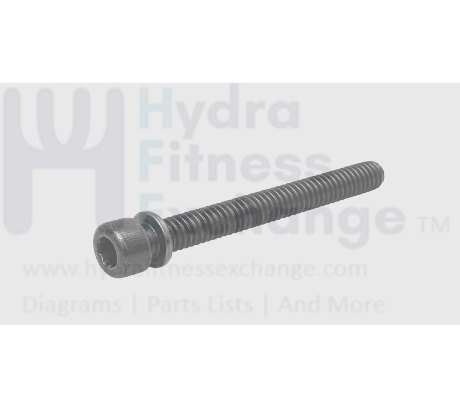 Life Fitness Treadmill Round Head Hex Socket Screw M8 - 1.25 x 80mm 3253913