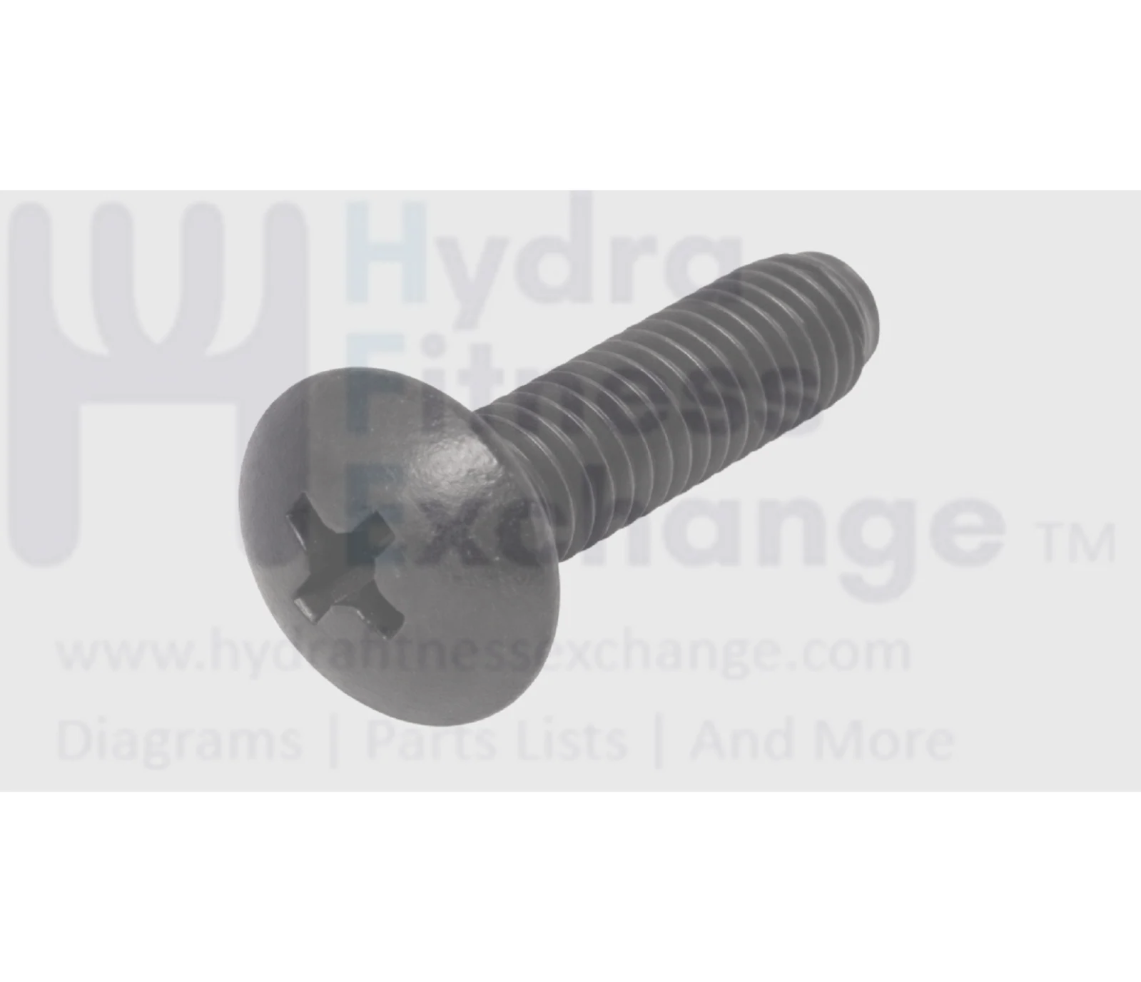 Life Fitness Treadmill T3 Dome Screw 8324601