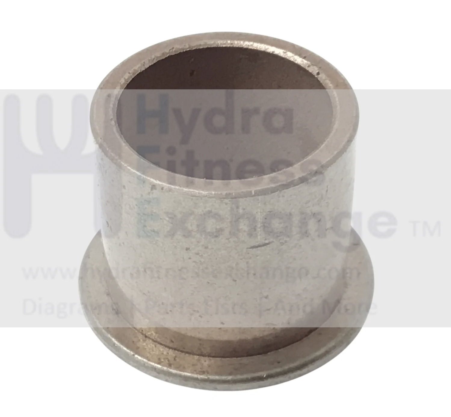 Lifecore VST-V8 Elliptical Bushing Bearing