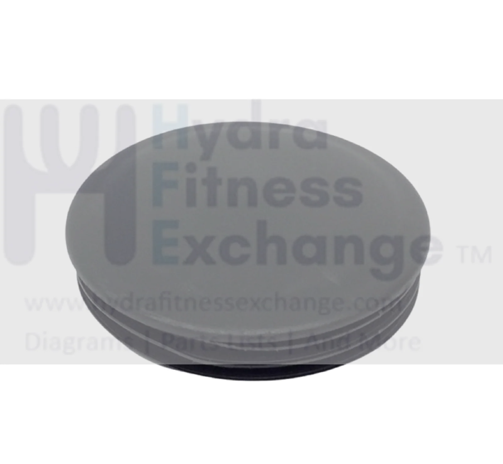 LifeCore VST-V8 Elliptical Endcap 4" 2613665