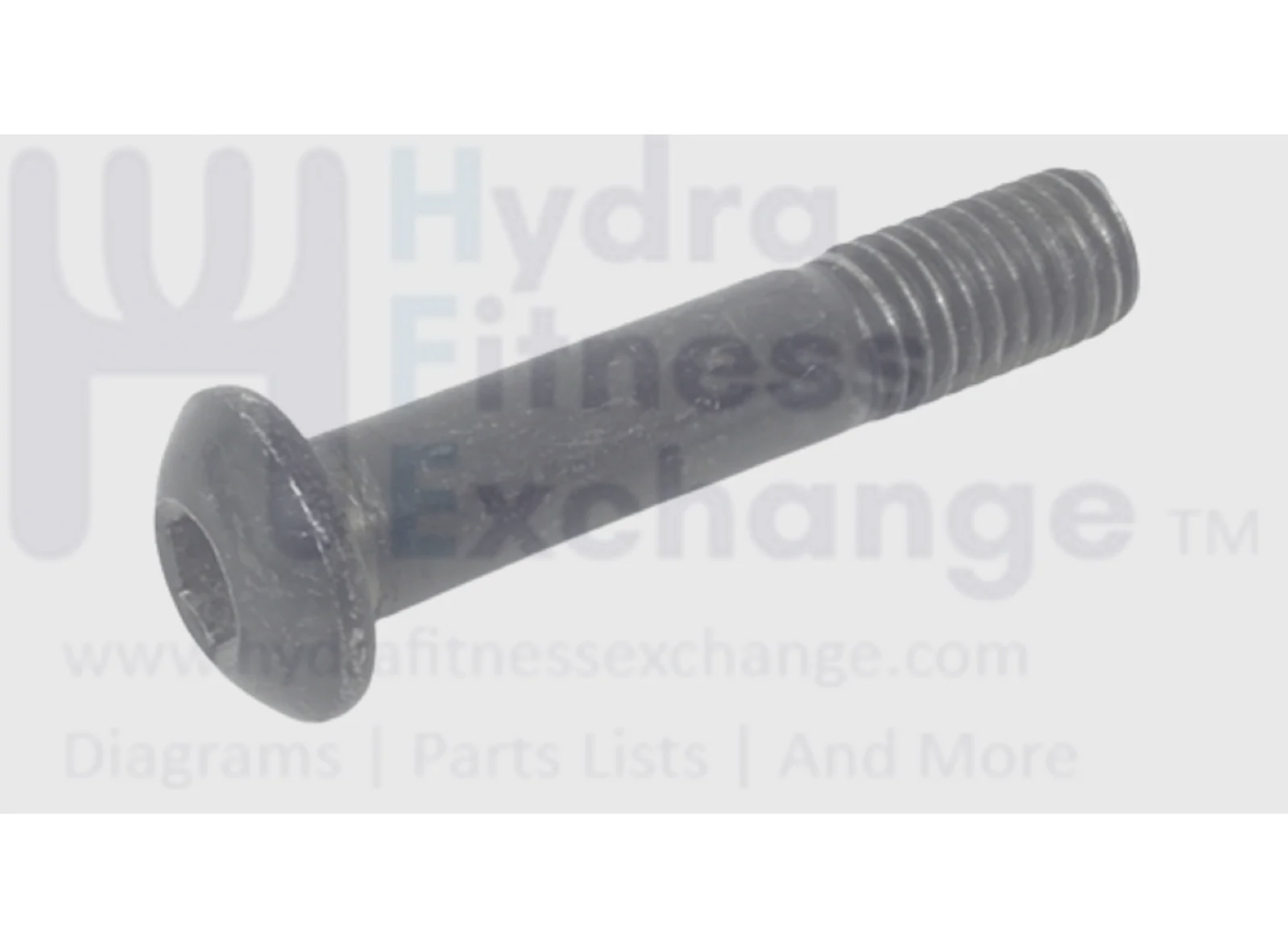 Lifespan Cross Trainer E3i E2i Elliptical Button Head Screw M8-1.25x40.5mm