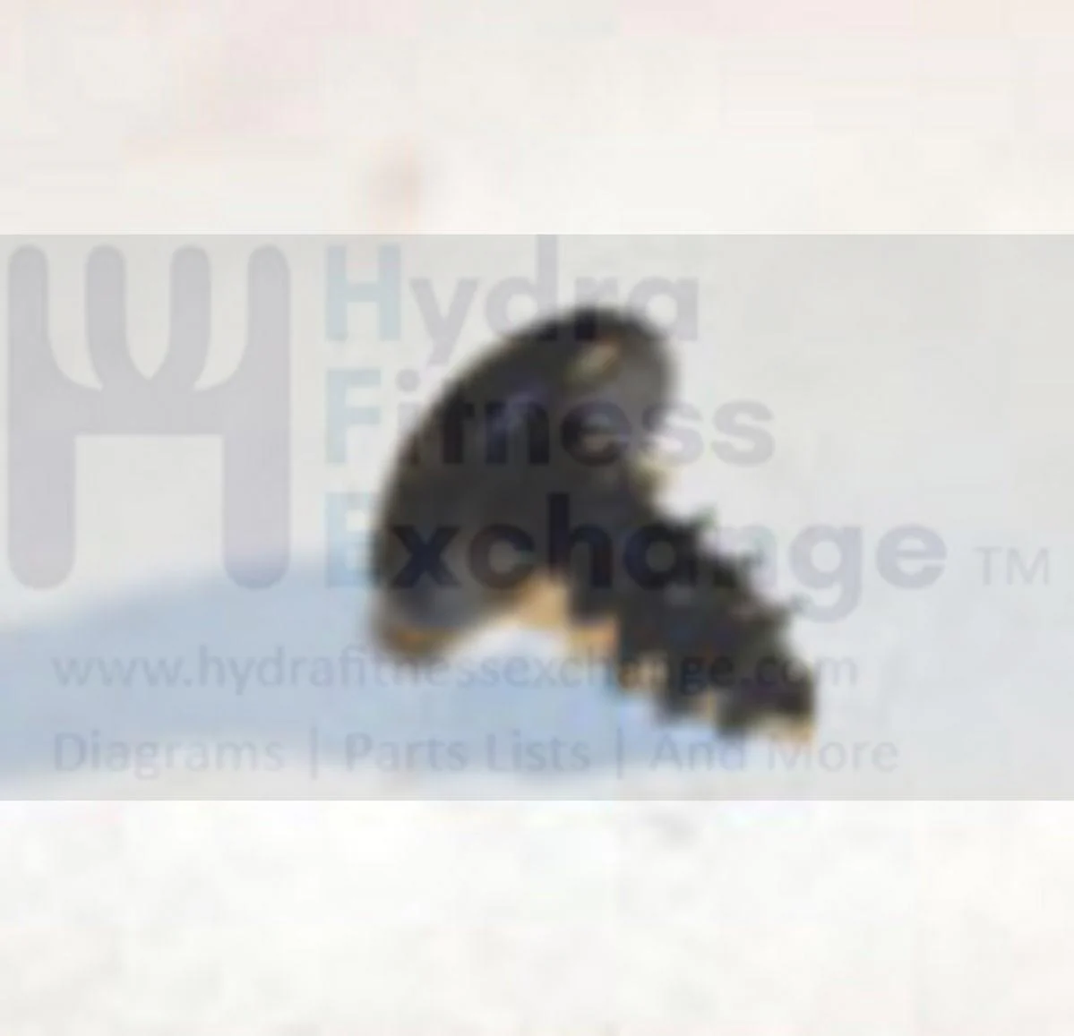 Livestrong AFG Horizon Fitness Treadmill Tapped Screw 3 x 6L 003721-00 - Image 2