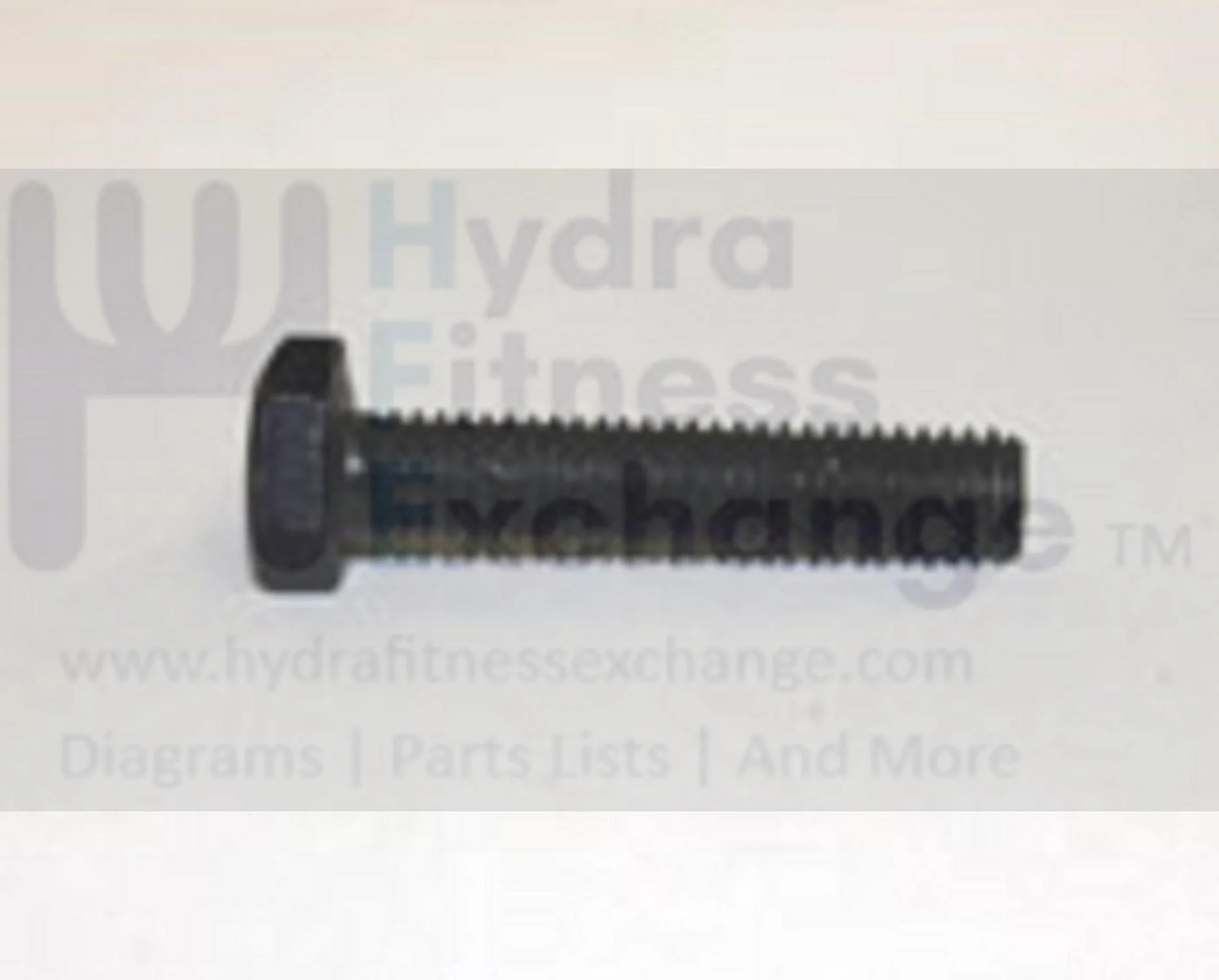 Livestrong AFG Vision Tempo Horizon Fitness Treadmill Hex Head Screw M6 - 1.0P x 30L 035692-00 - Image 2