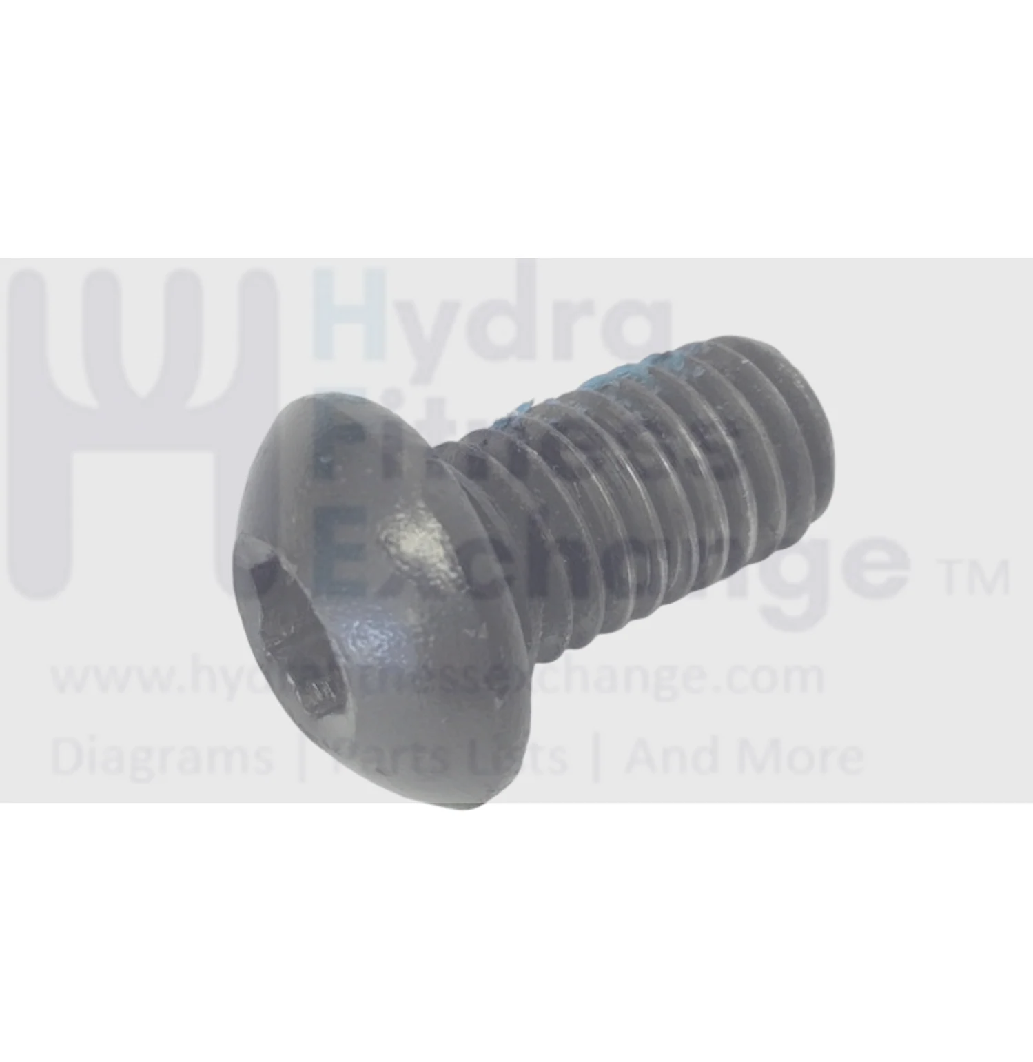 Livestrong Elliptical Button Hex Head Socket Screw M8 - 1.25P x 15L 004724-00 - Image 2
